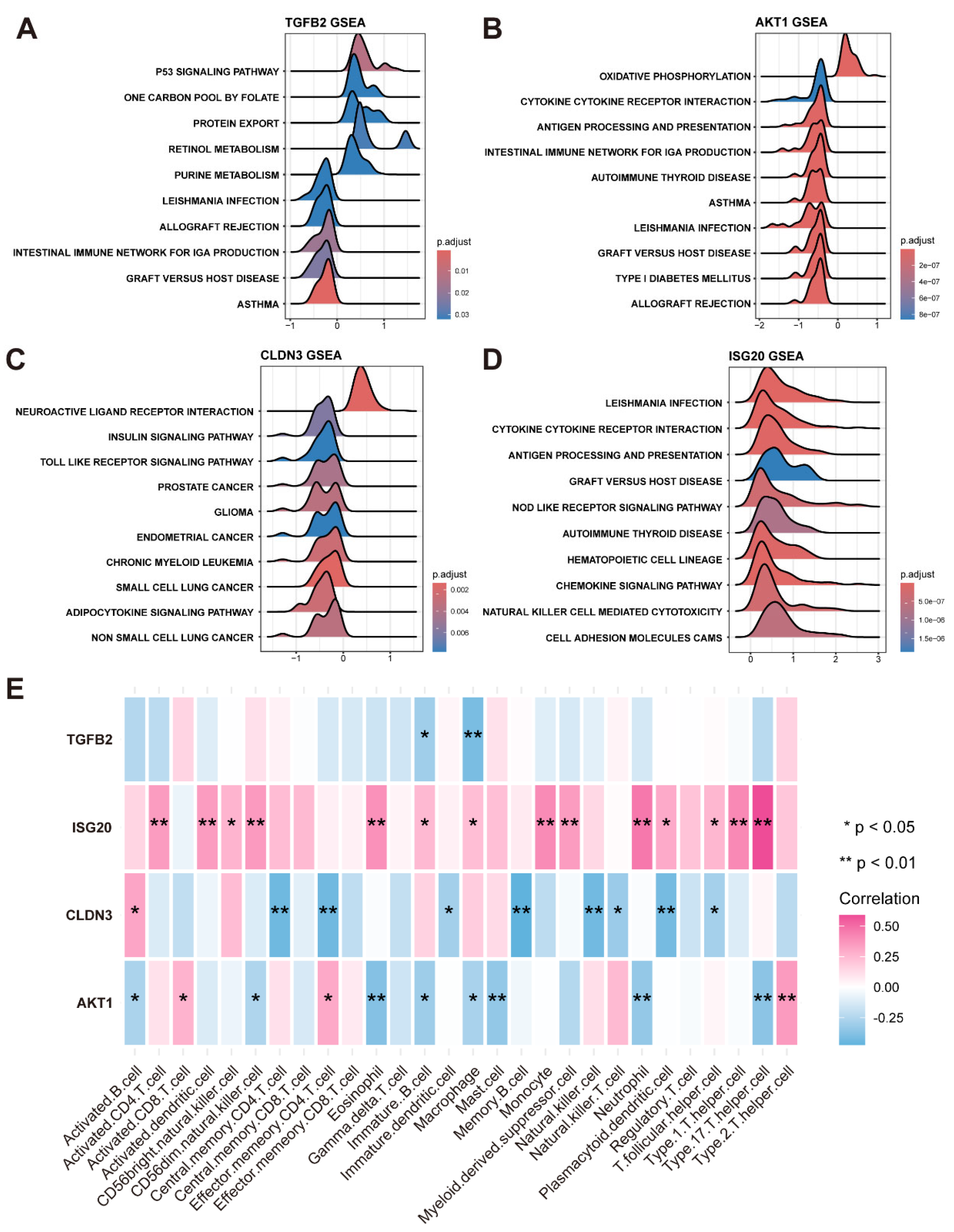 Bioengineering 12 00577 g005