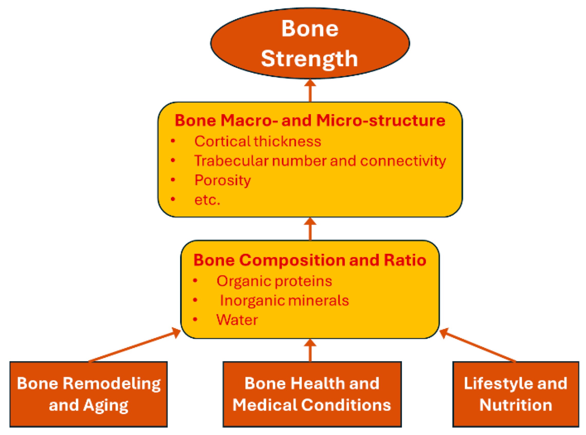 Bioengineering 12 00580 g001