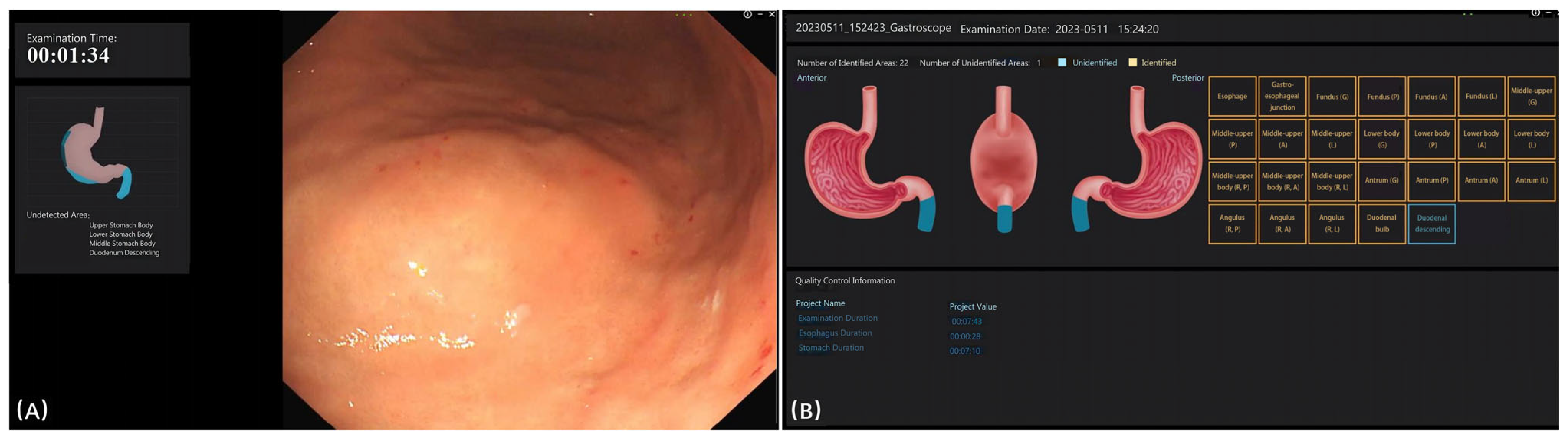 Bioengineering 12 00582 g003