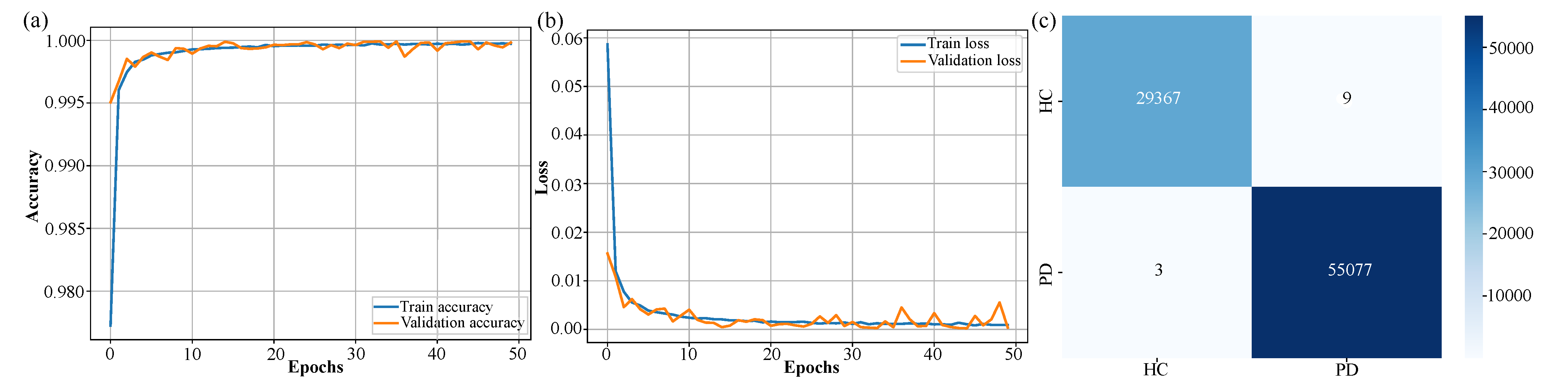 Bioengineering 12 00583 g004