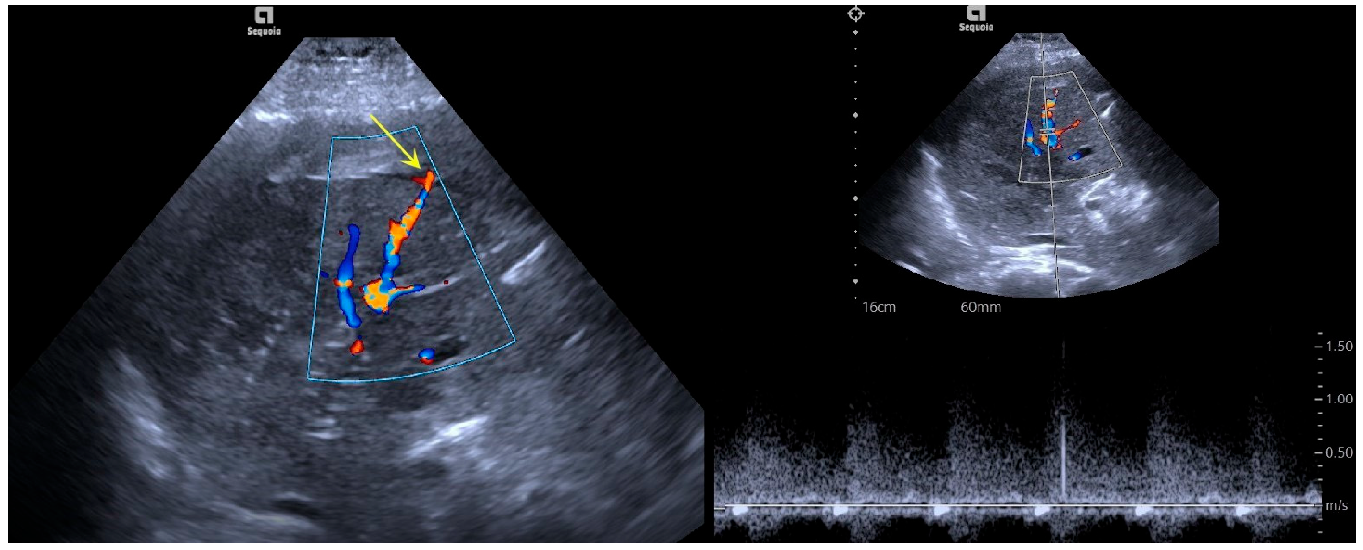 Bioengineering 12 00584 g001