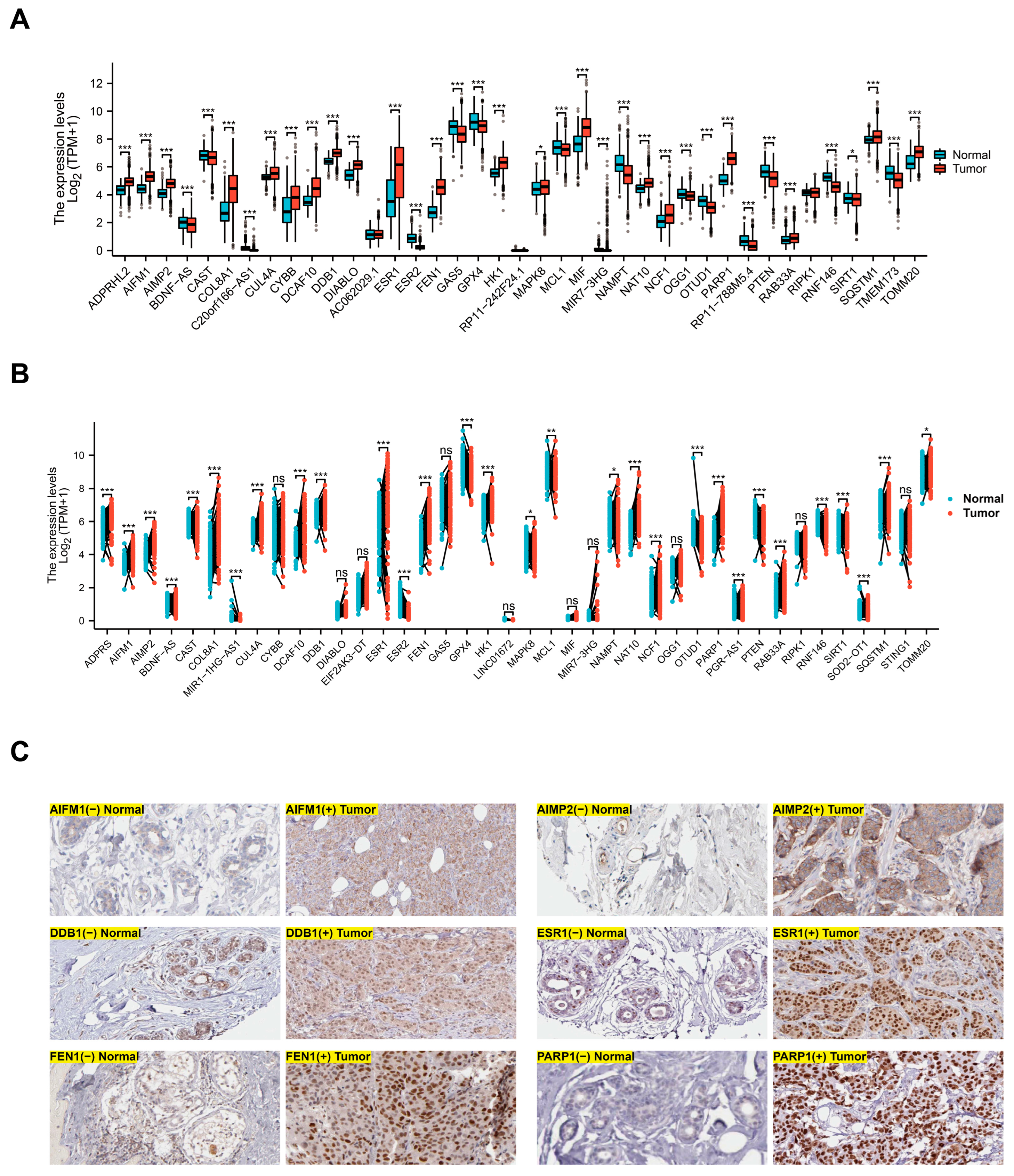 Bioengineering 12 00586 g001