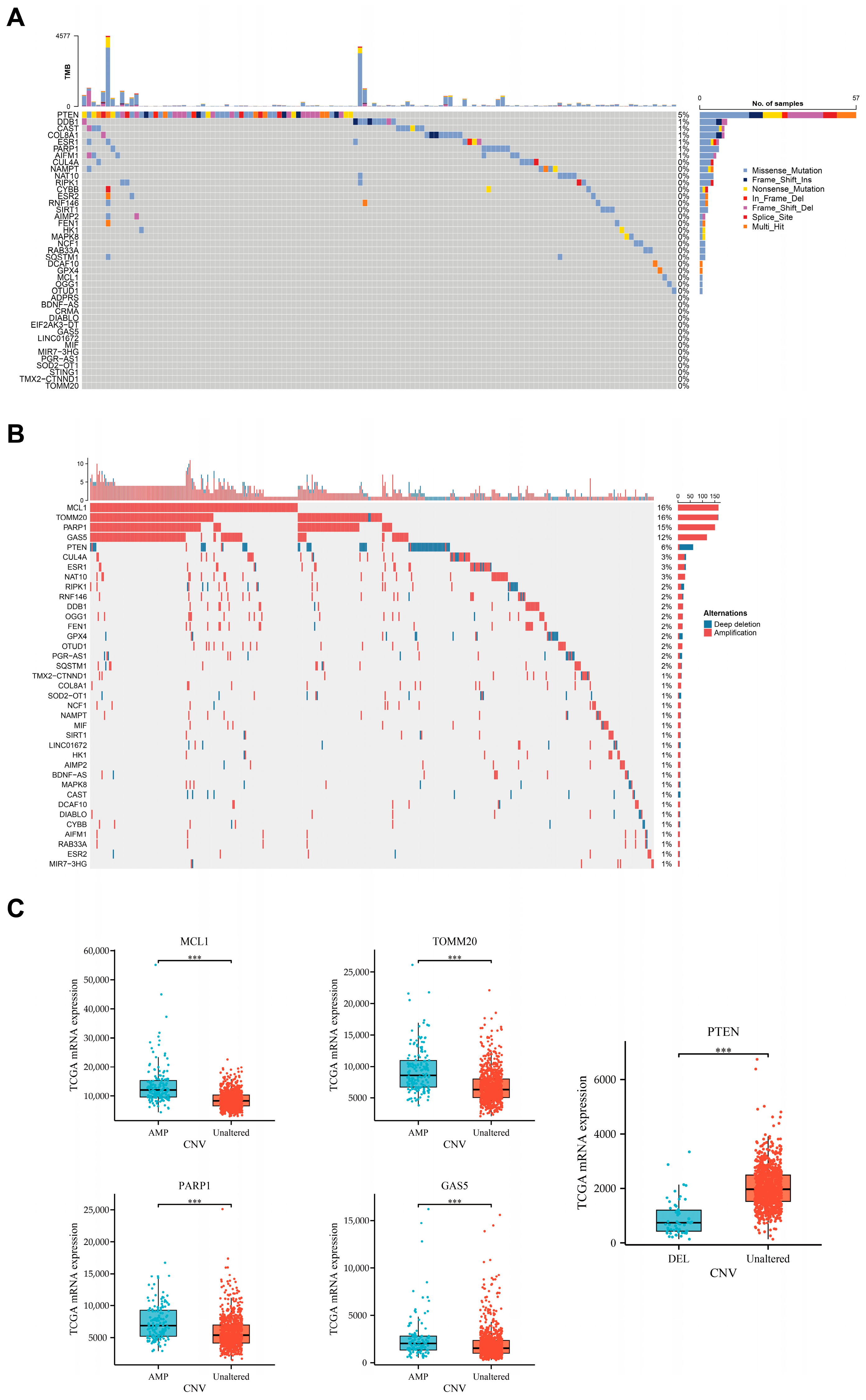 Bioengineering 12 00586 g002