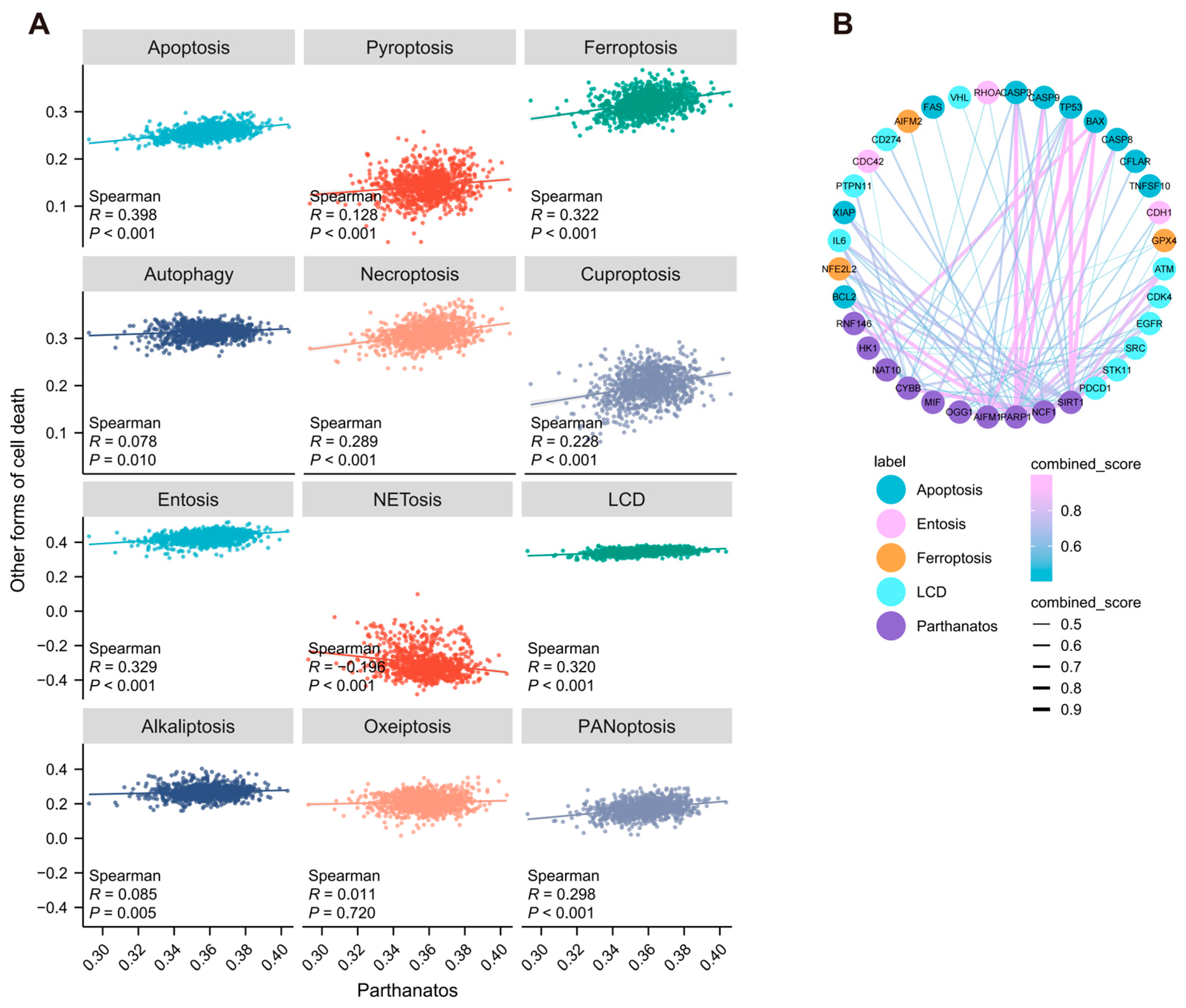 Bioengineering 12 00586 g003