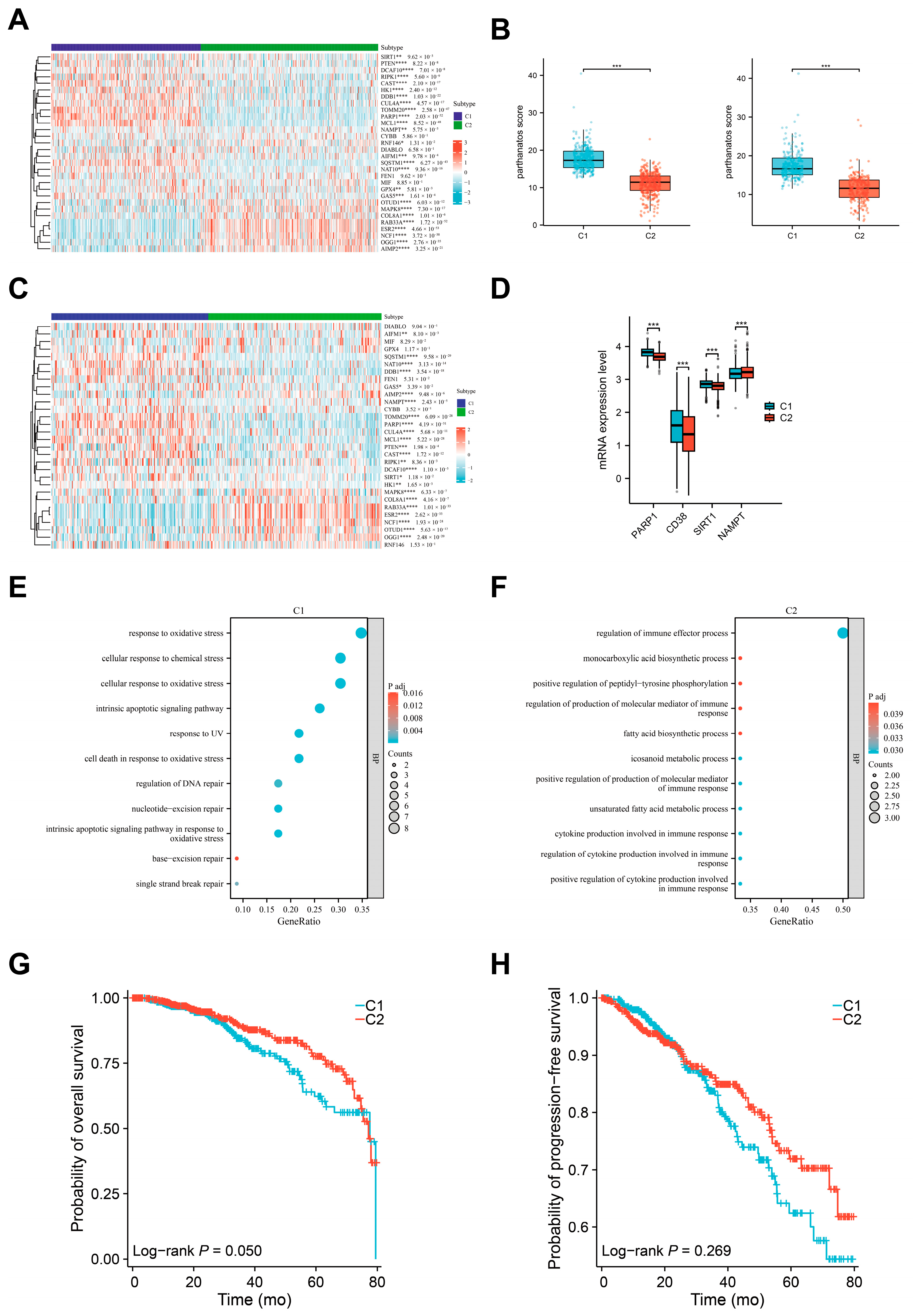 Bioengineering 12 00586 g005