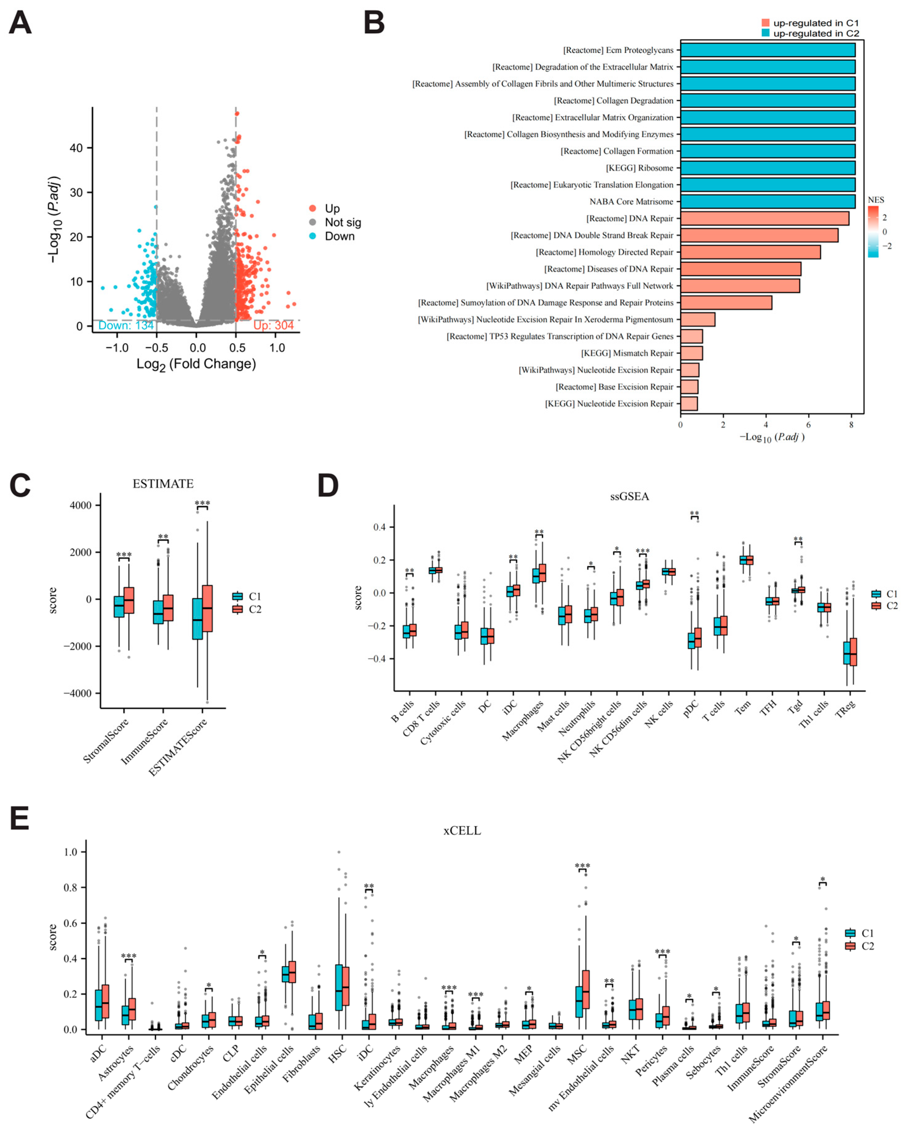 Bioengineering 12 00586 g006