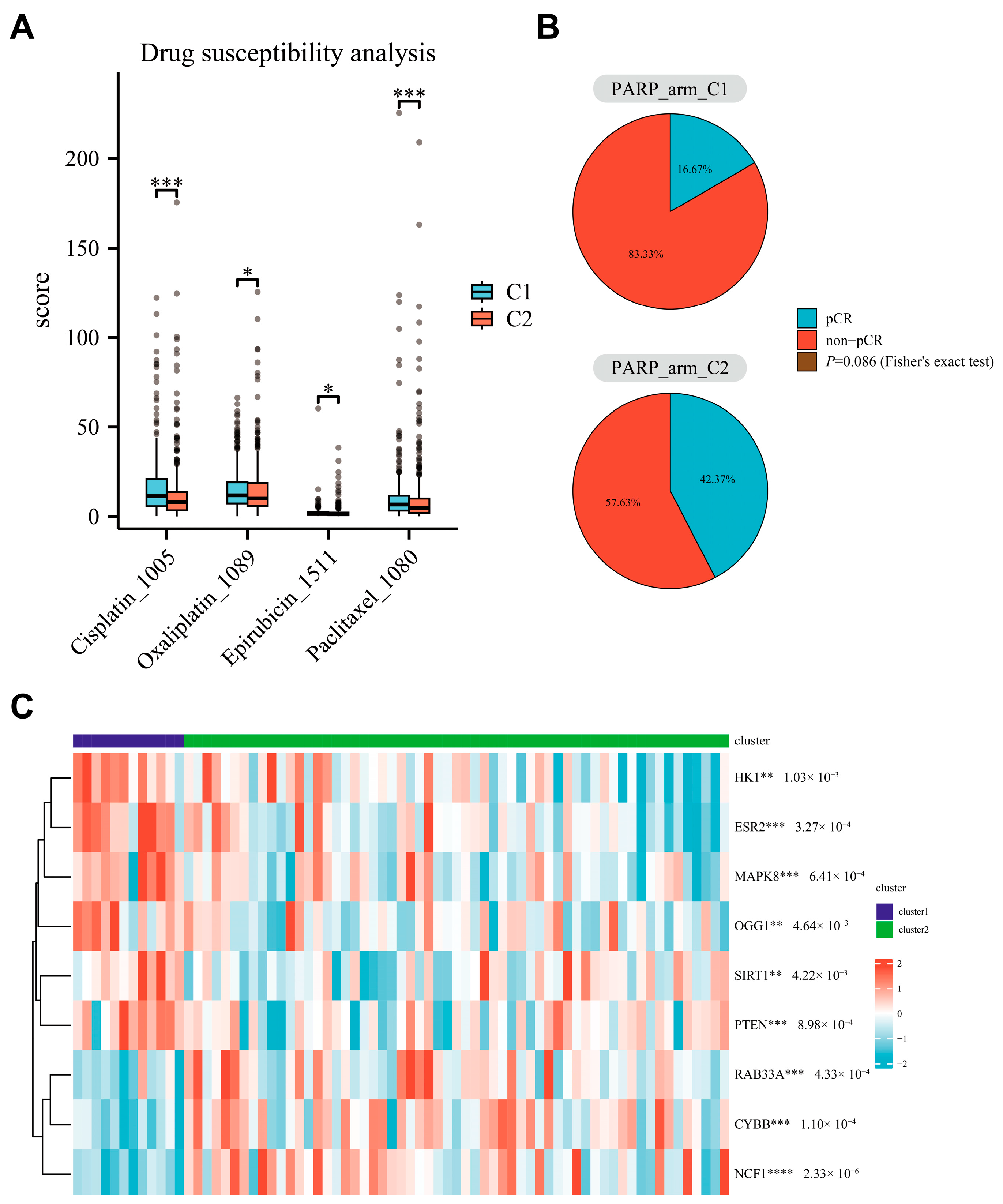 Bioengineering 12 00586 g007