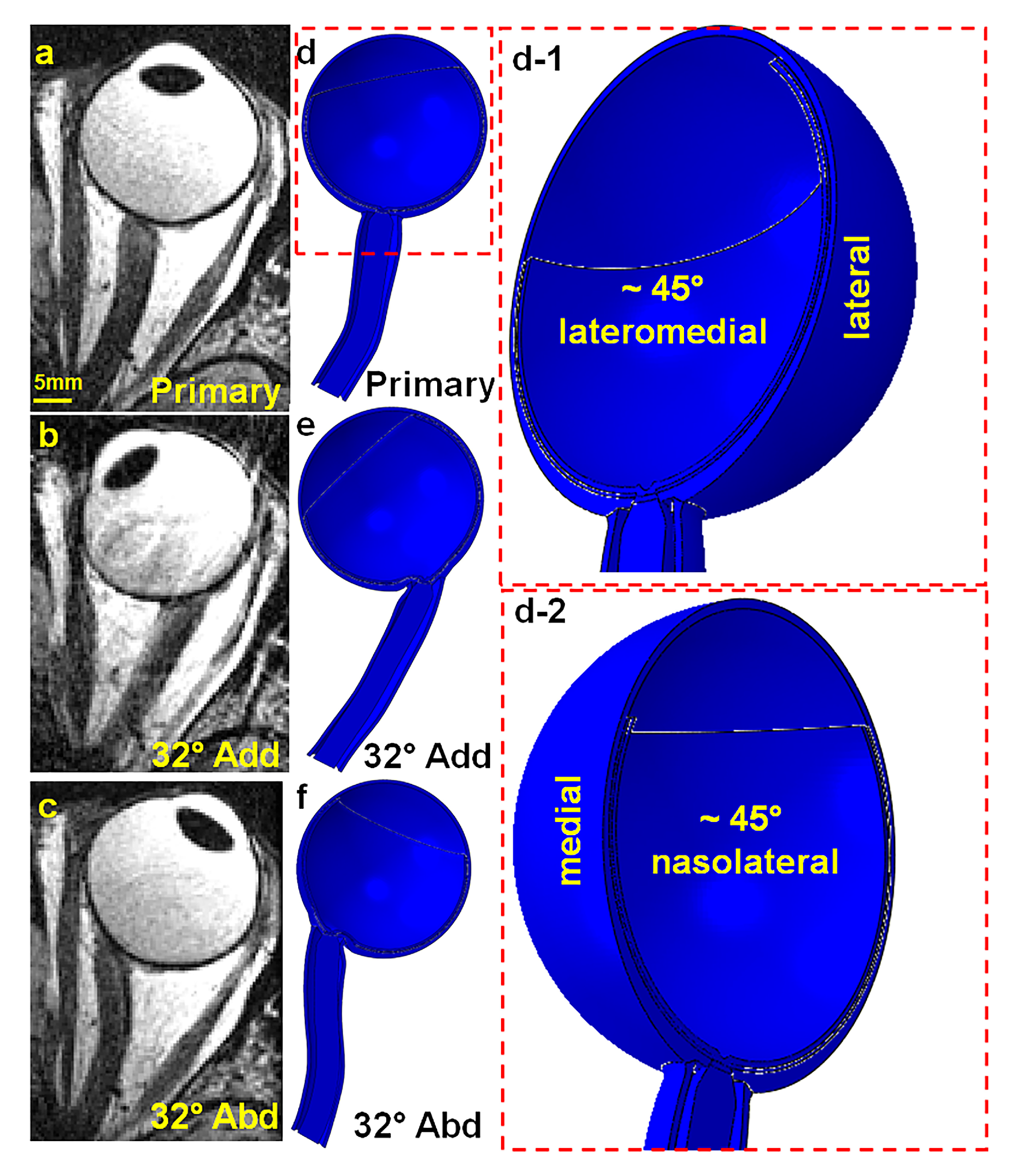 Bioengineering 12 00587 g001