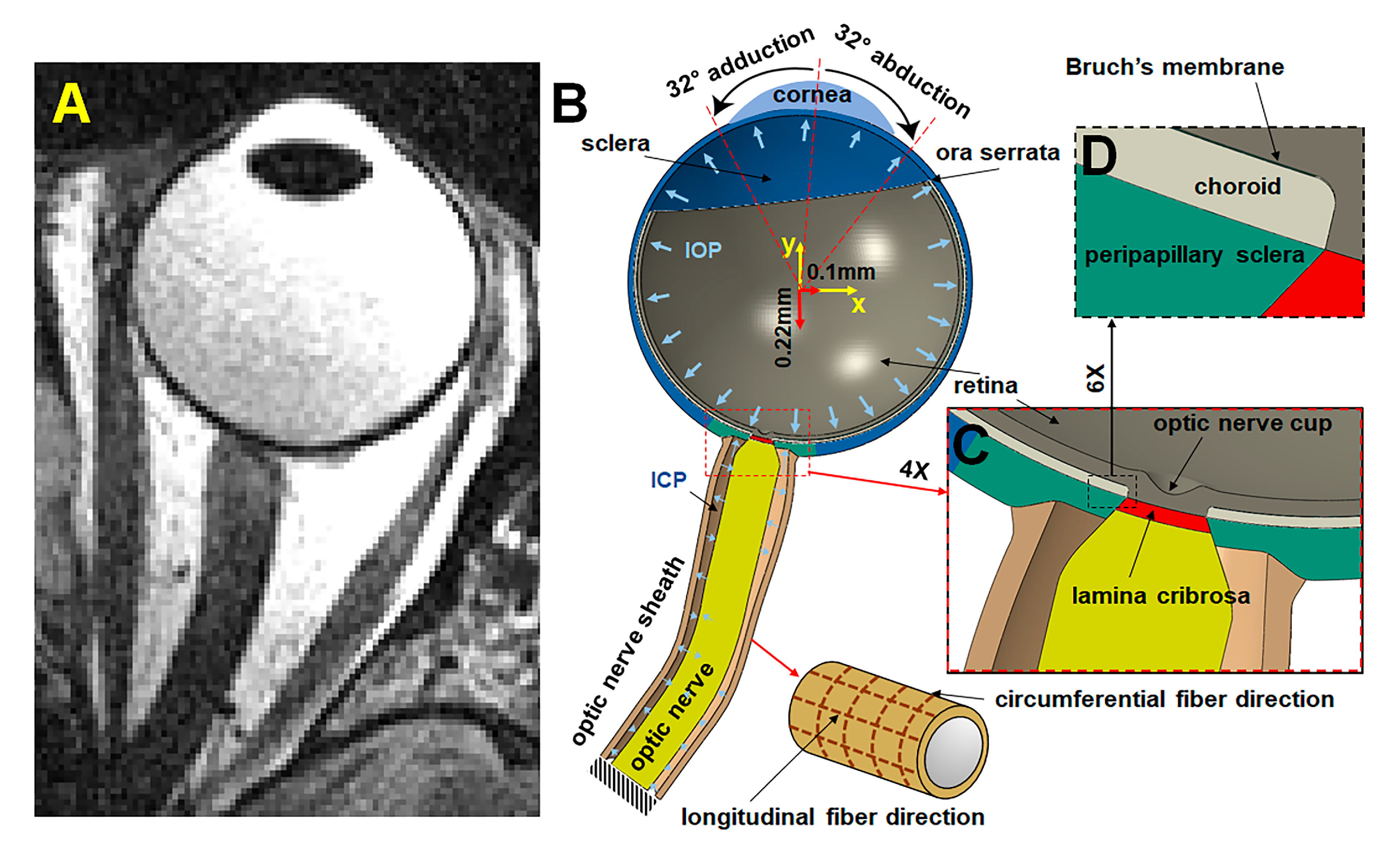 Bioengineering 12 00587 g002