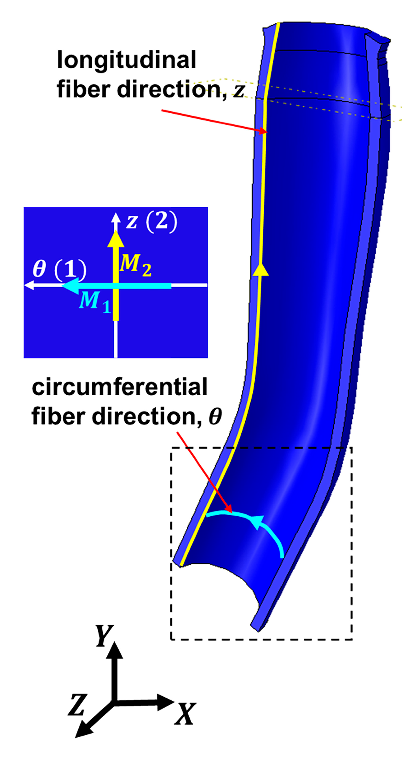 Bioengineering 12 00587 g003