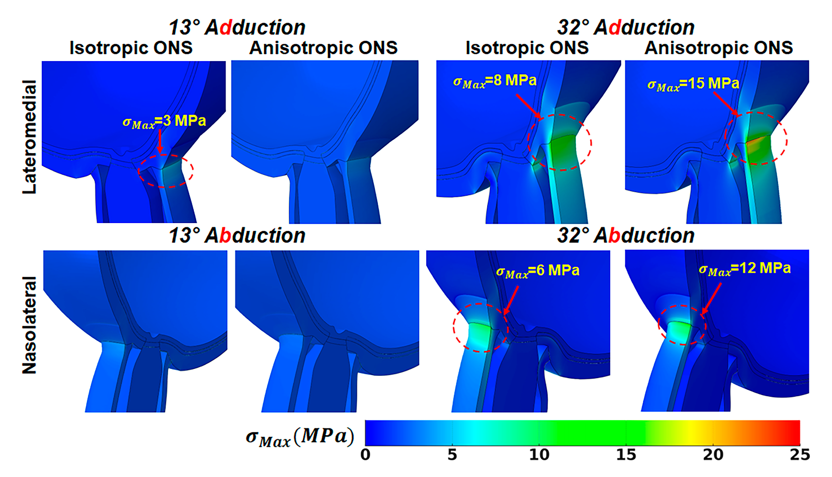 Bioengineering 12 00587 g005
