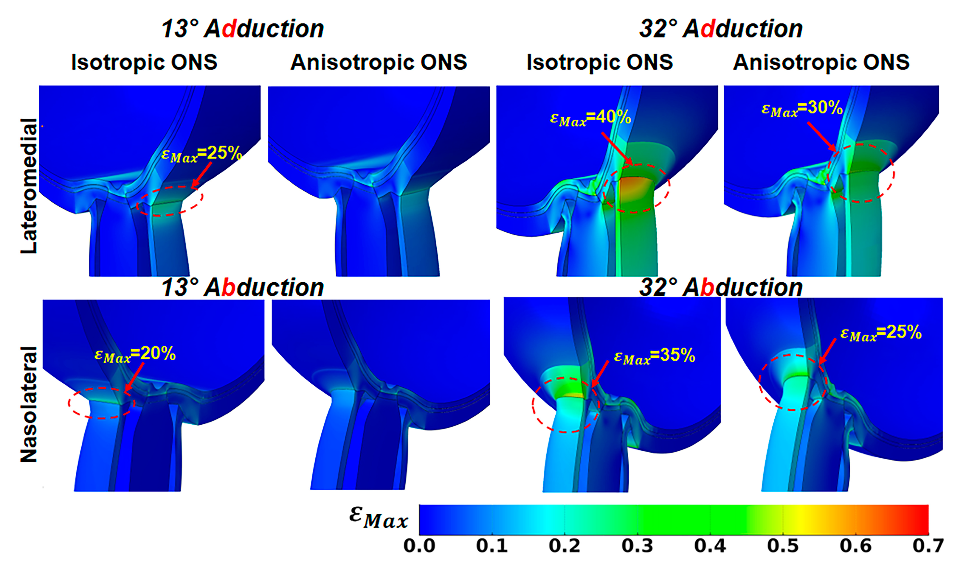 Bioengineering 12 00587 g006