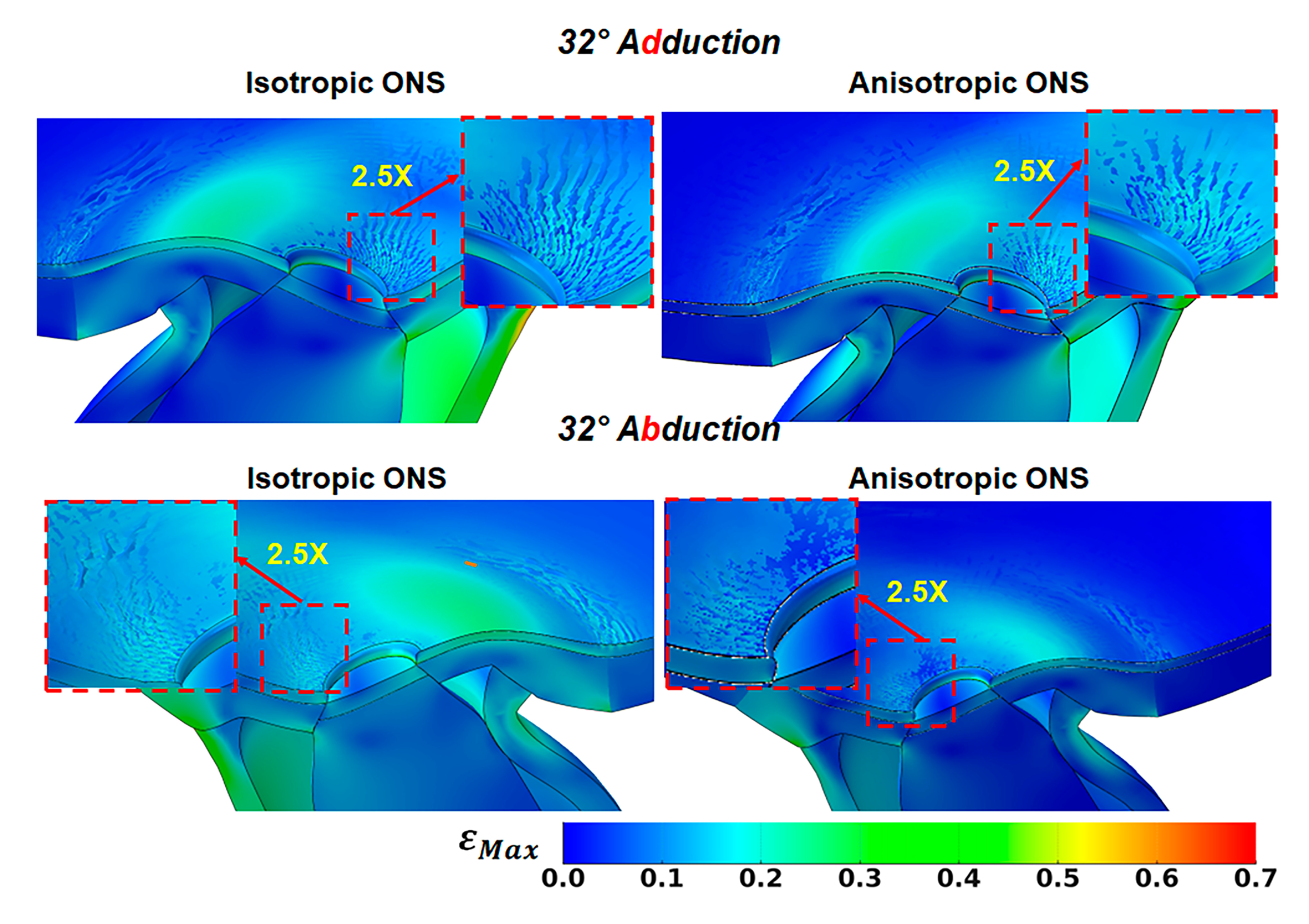 Bioengineering 12 00587 g007