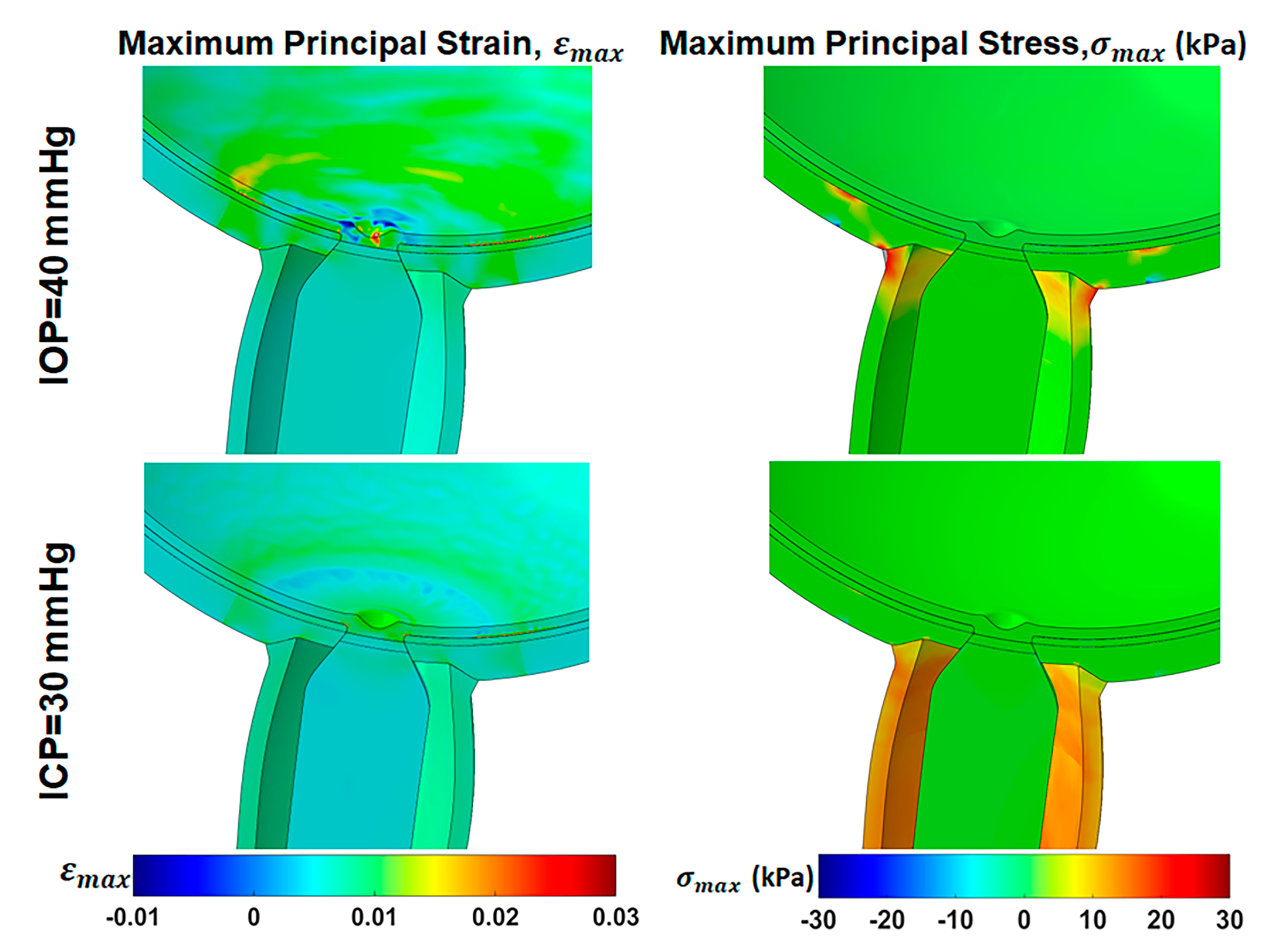 Bioengineering 12 00587 g008