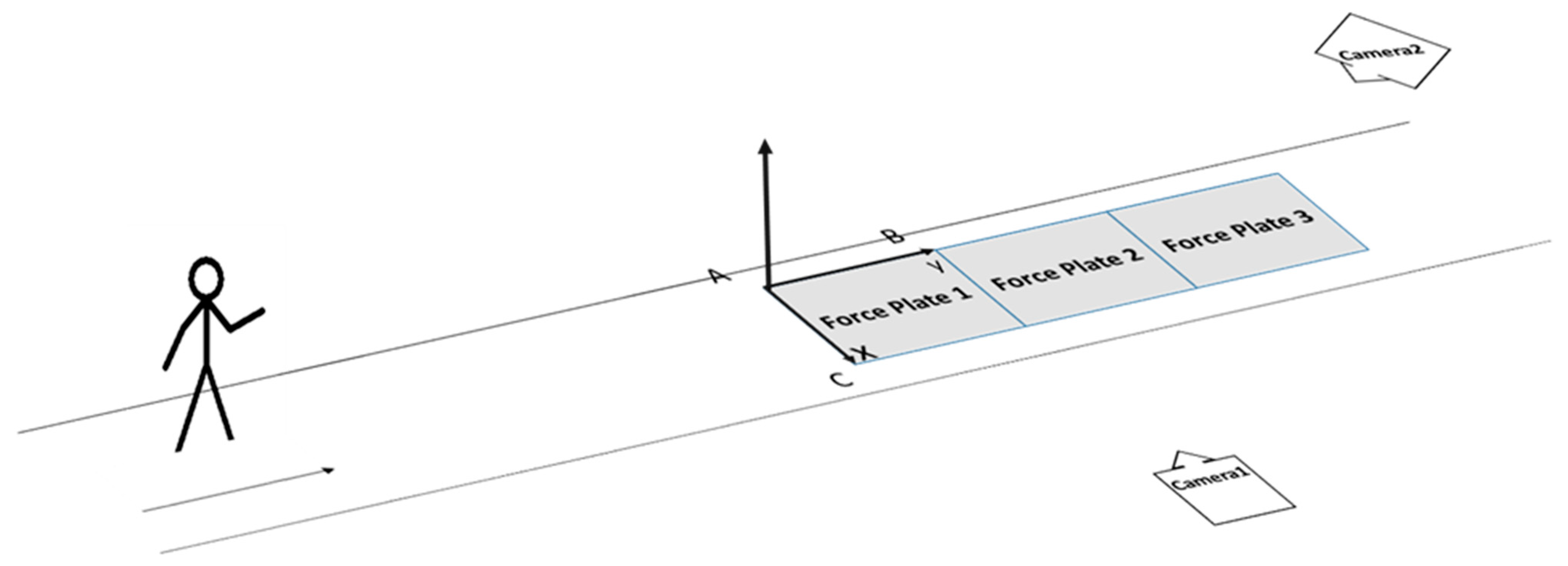 Bioengineering 12 00588 g001