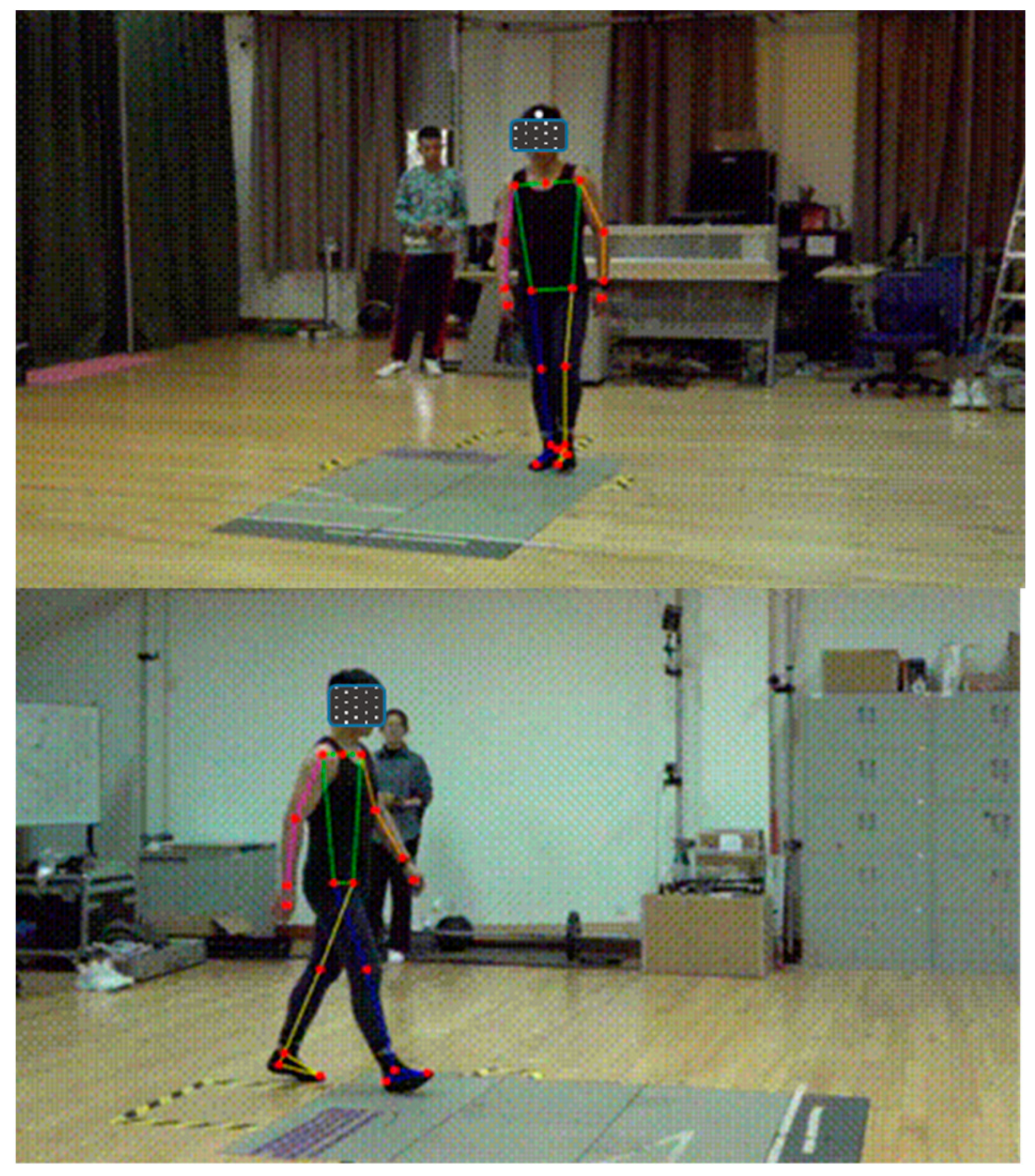 Bioengineering 12 00588 g003