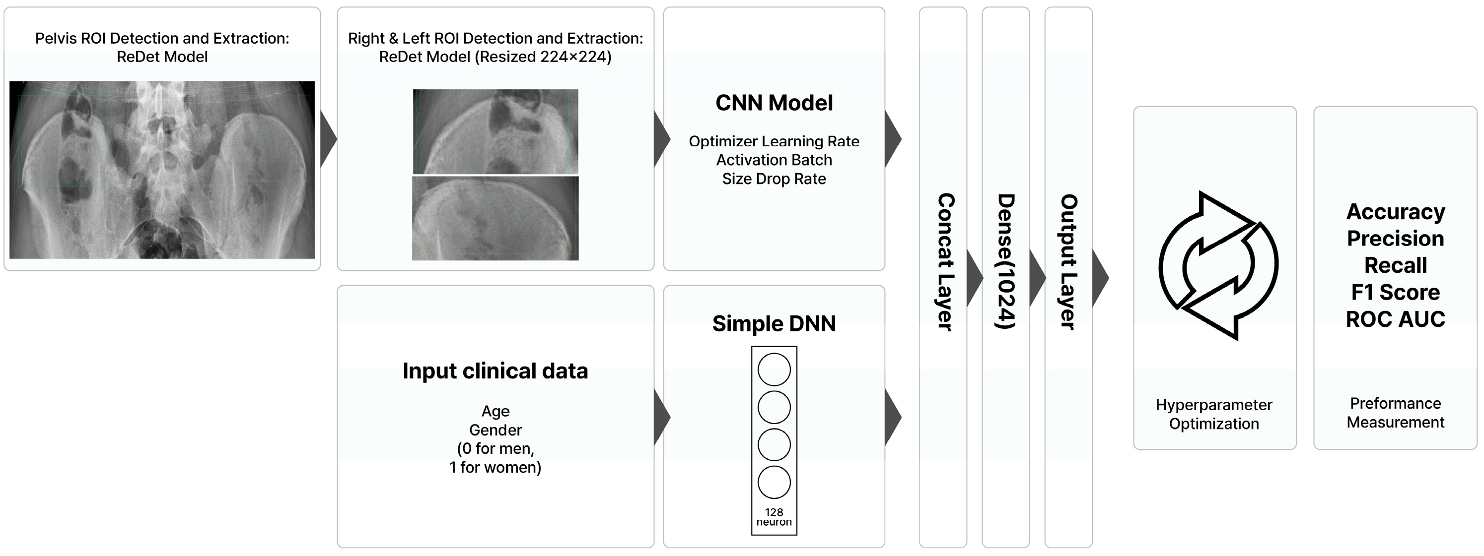 Bioengineering 12 00589 g001
