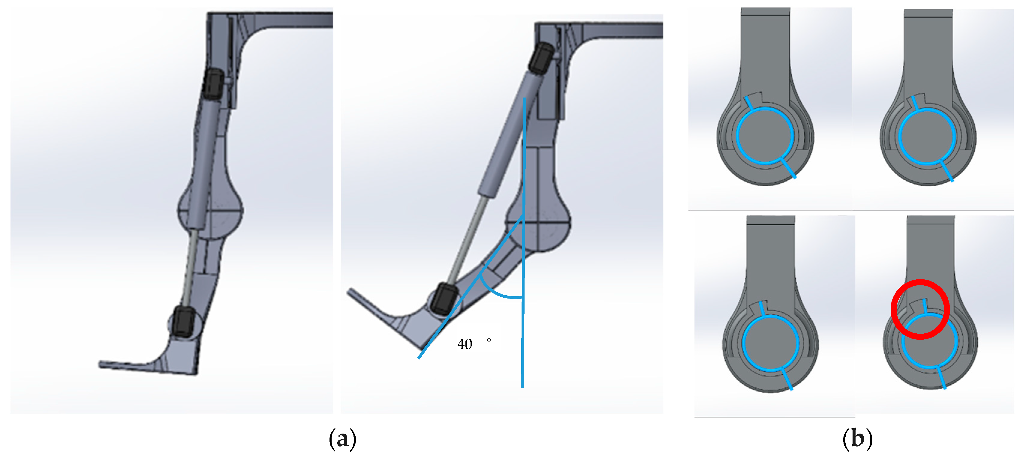 Bioengineering 12 00590 g002