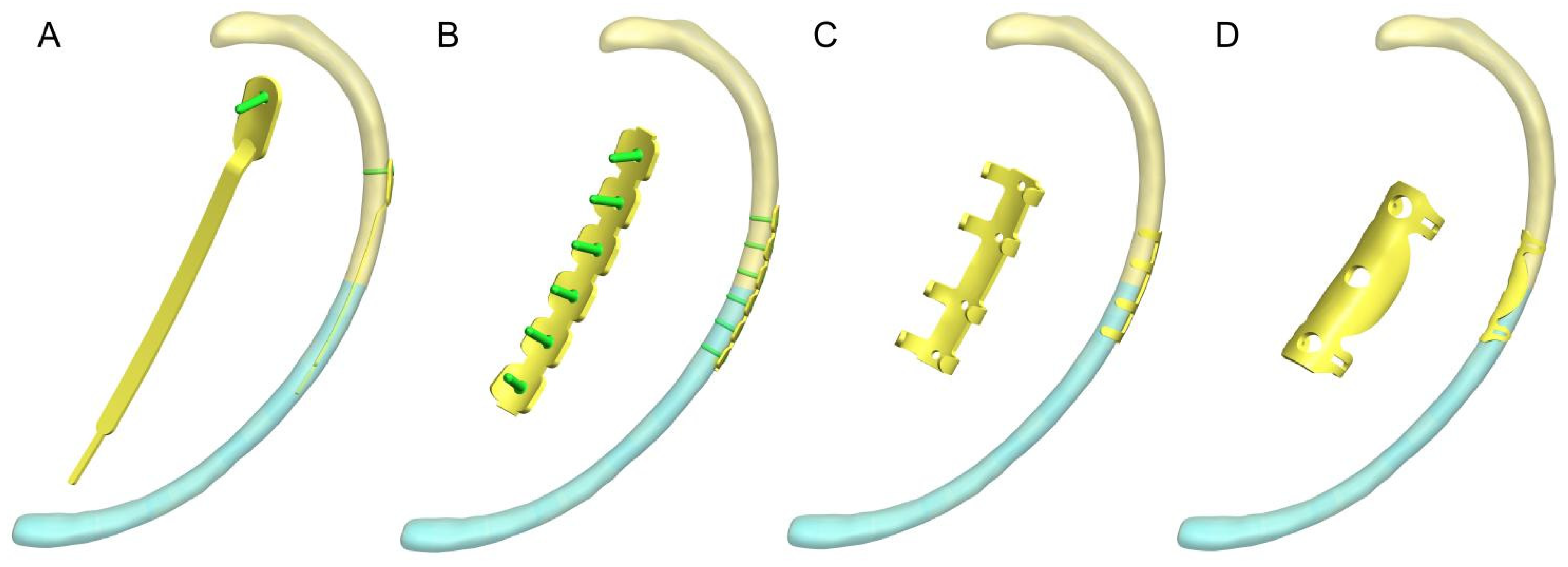 Bioengineering 12 00594 g001