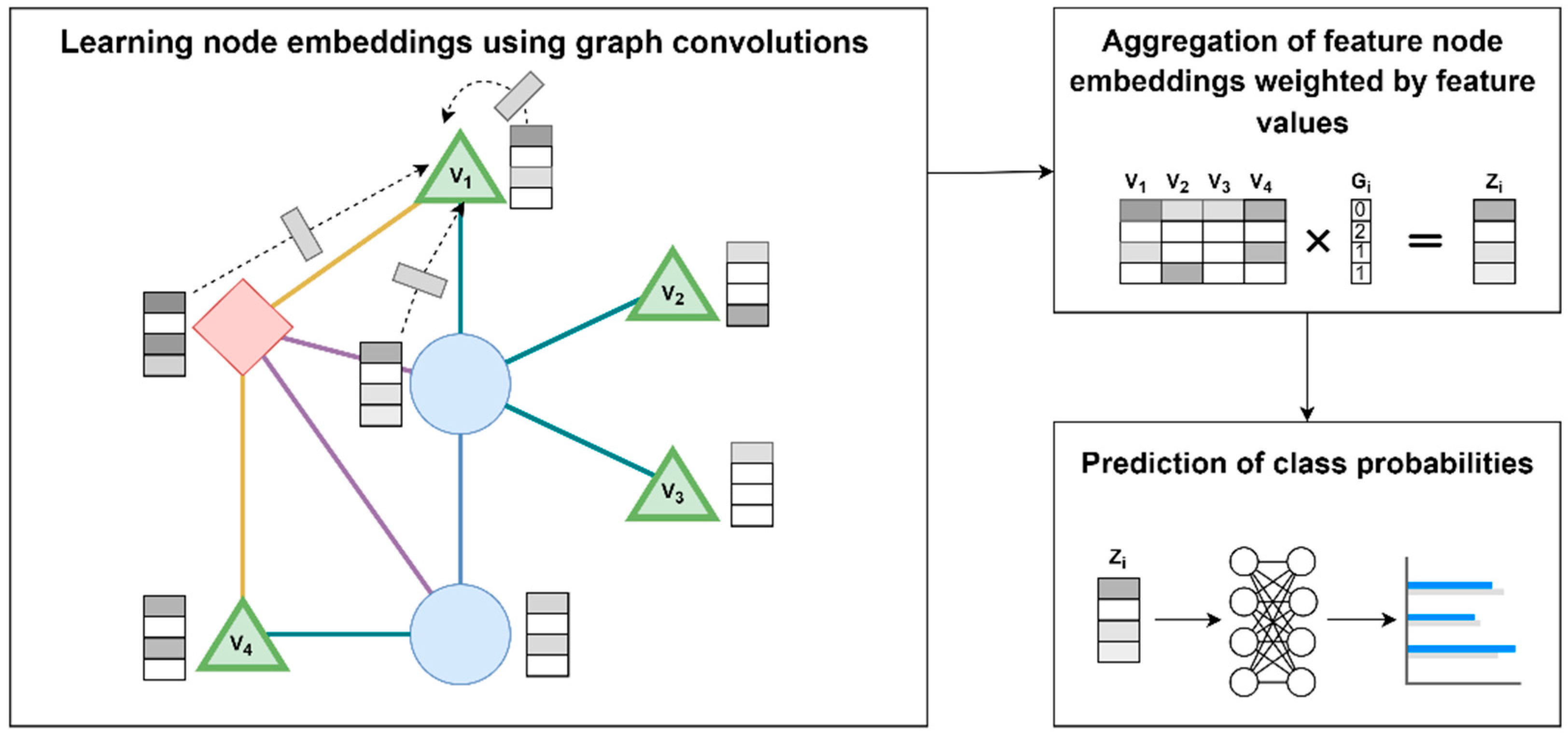 Bioengineering 12 00595 g001