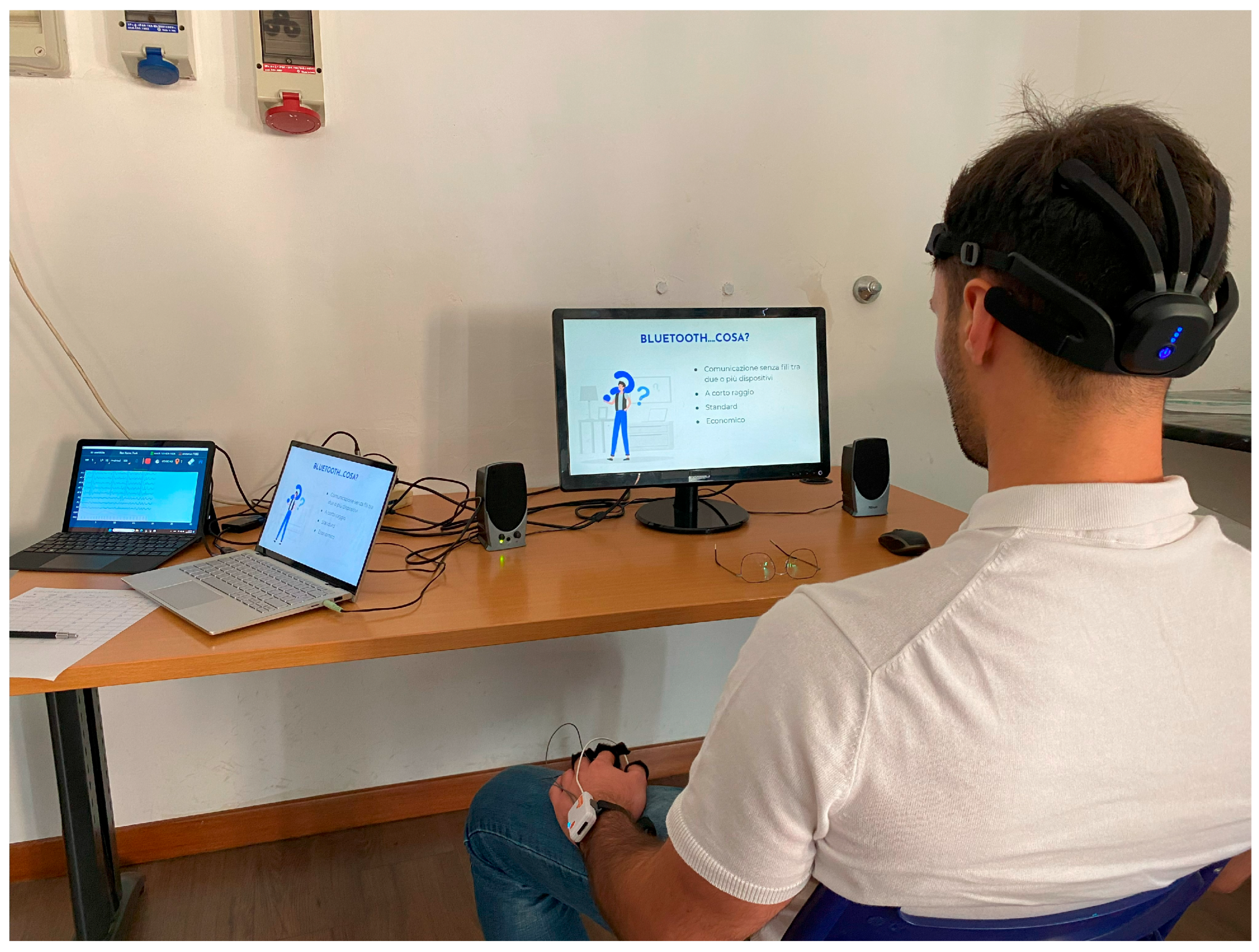 Bioengineering 12 00597 g001