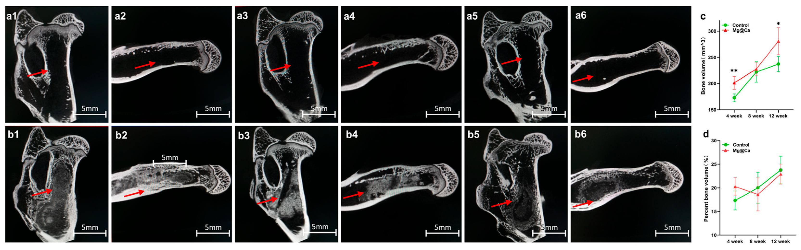 Bioengineering 12 00599 g004