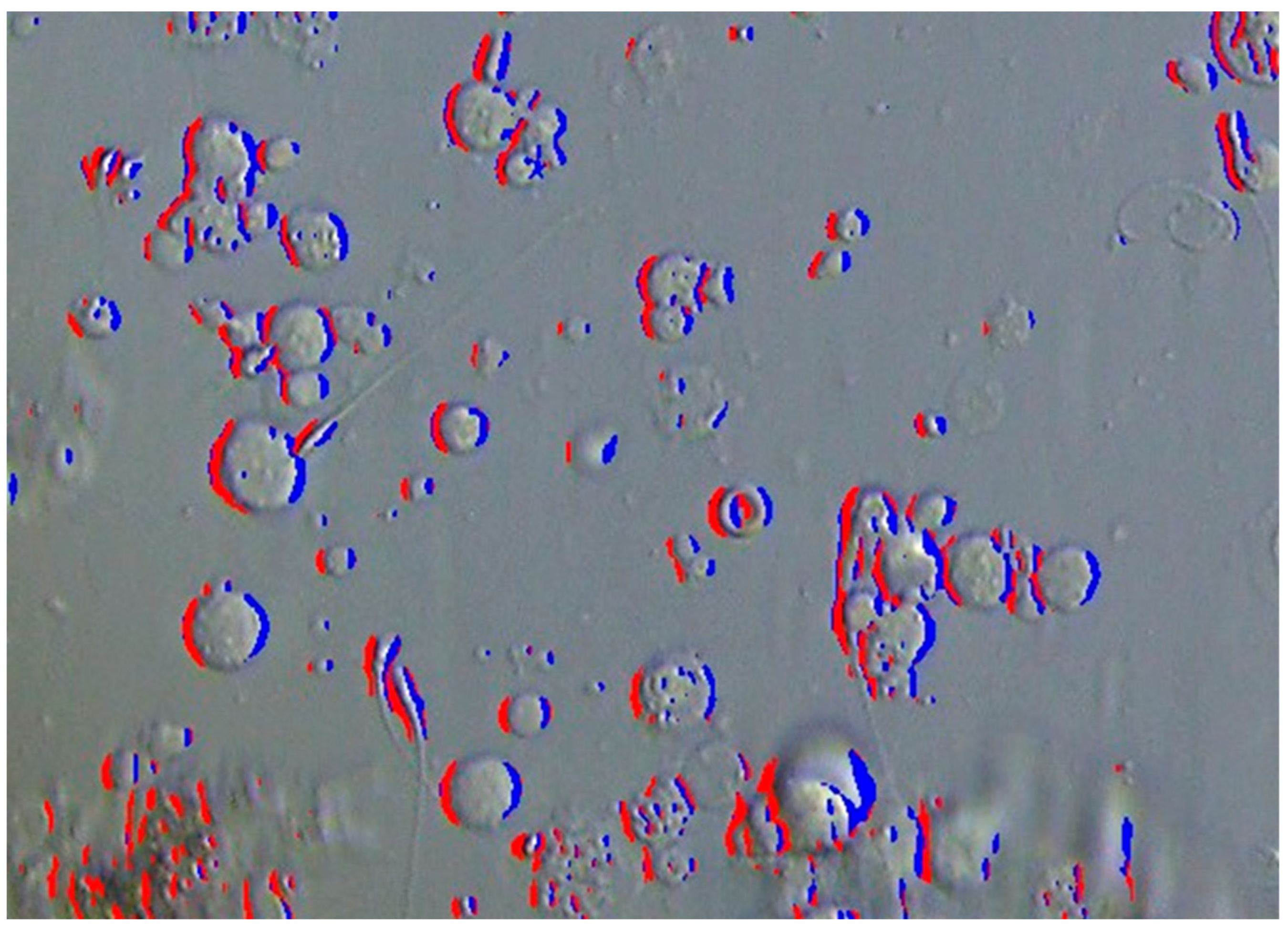 Bioengineering 12 00601 g004