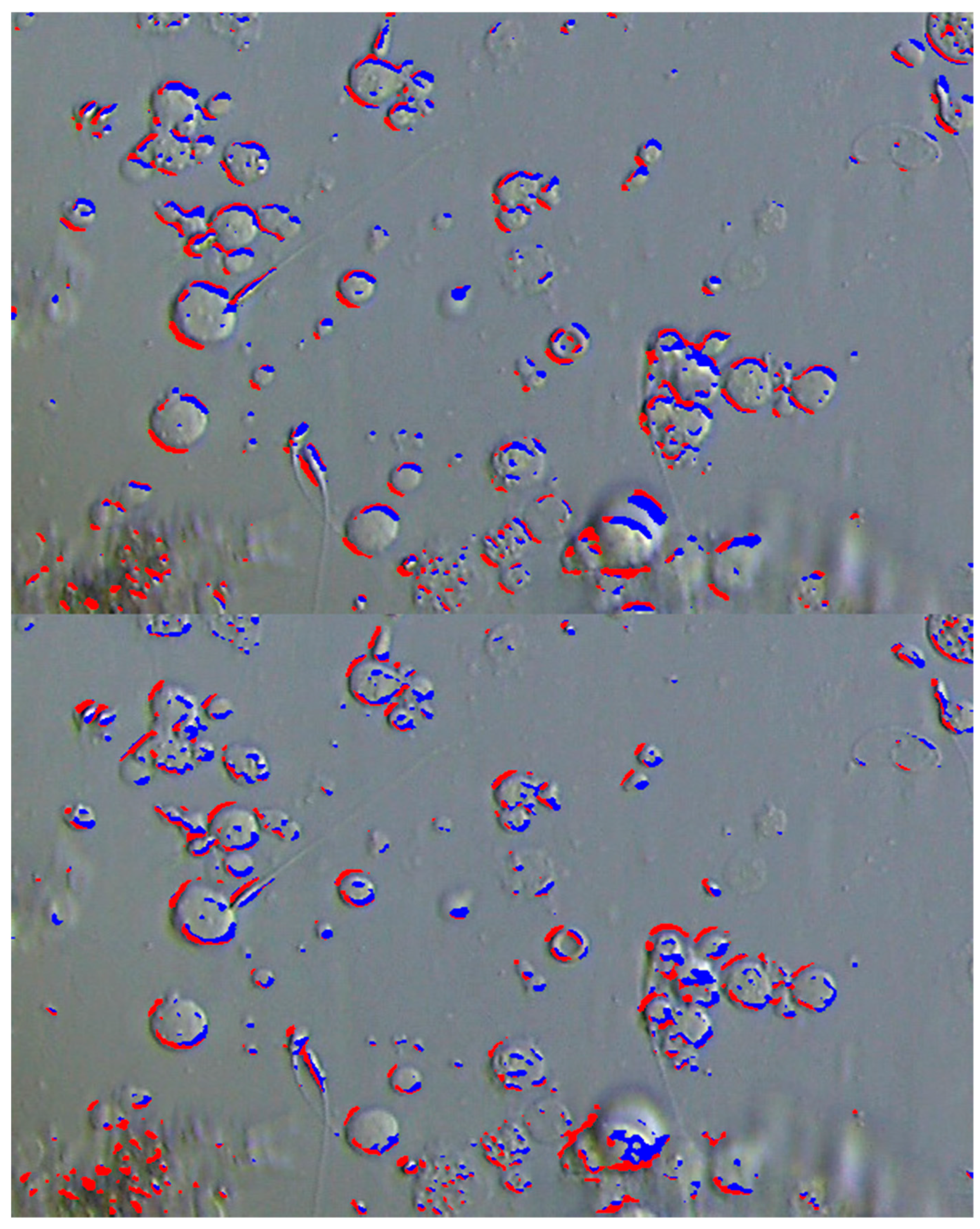 Bioengineering 12 00601 g005