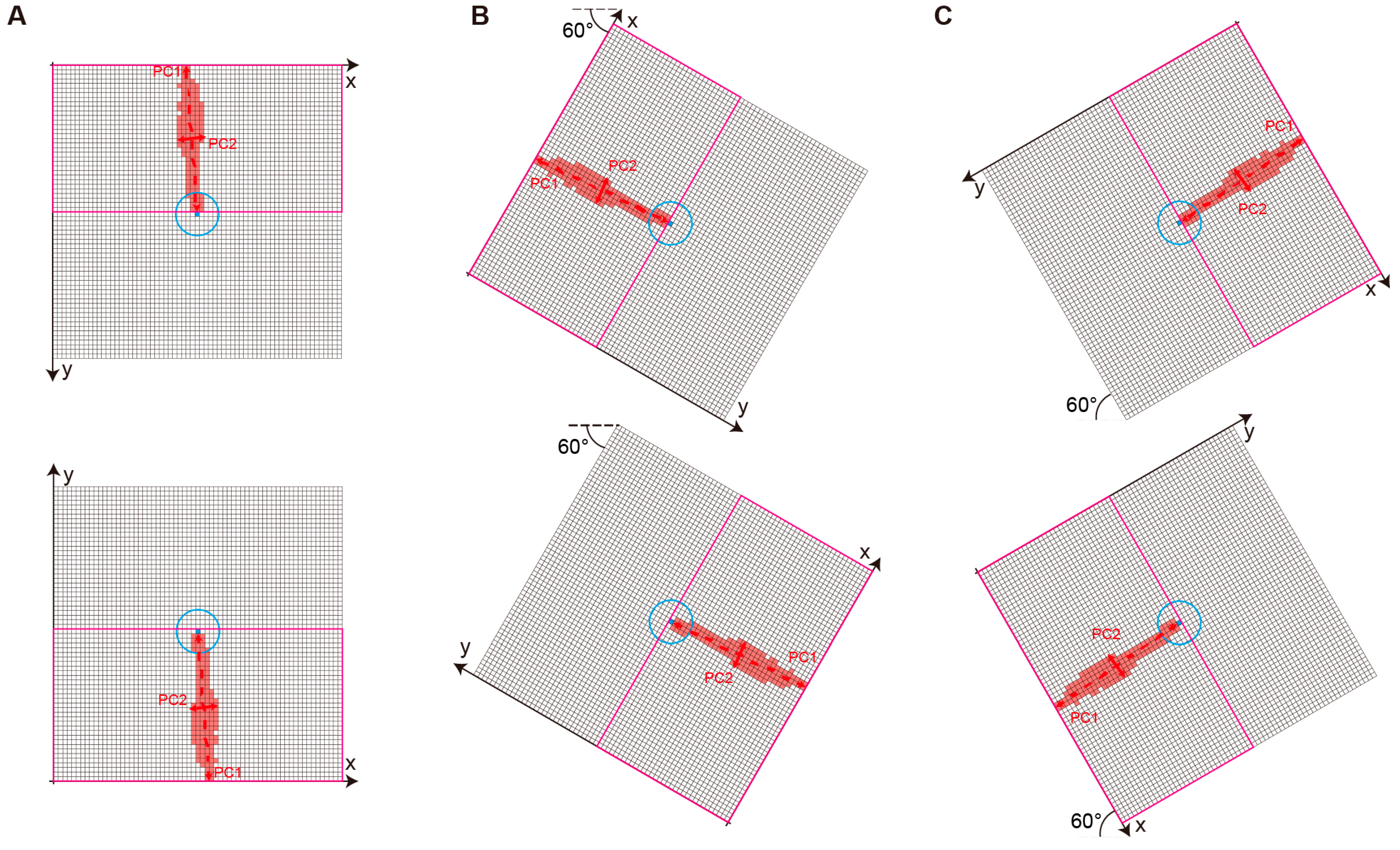 Bioengineering 12 00601 g006