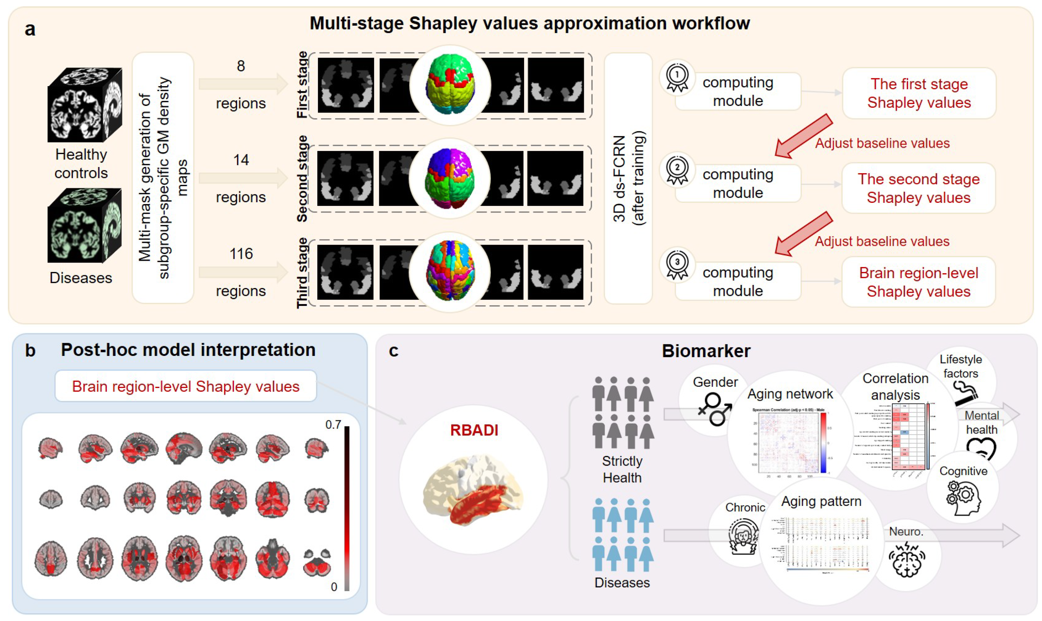 Bioengineering 12 00607 g001