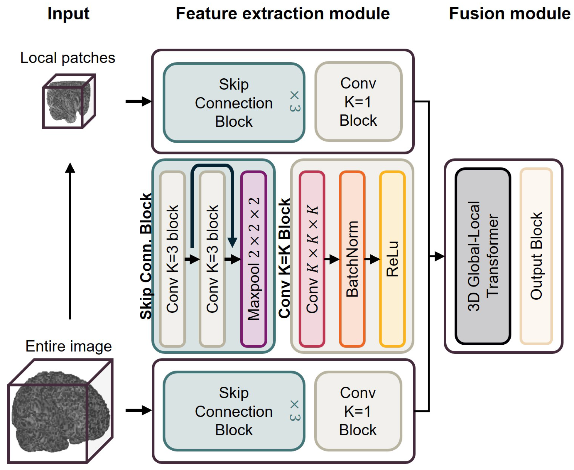 Bioengineering 12 00607 g002