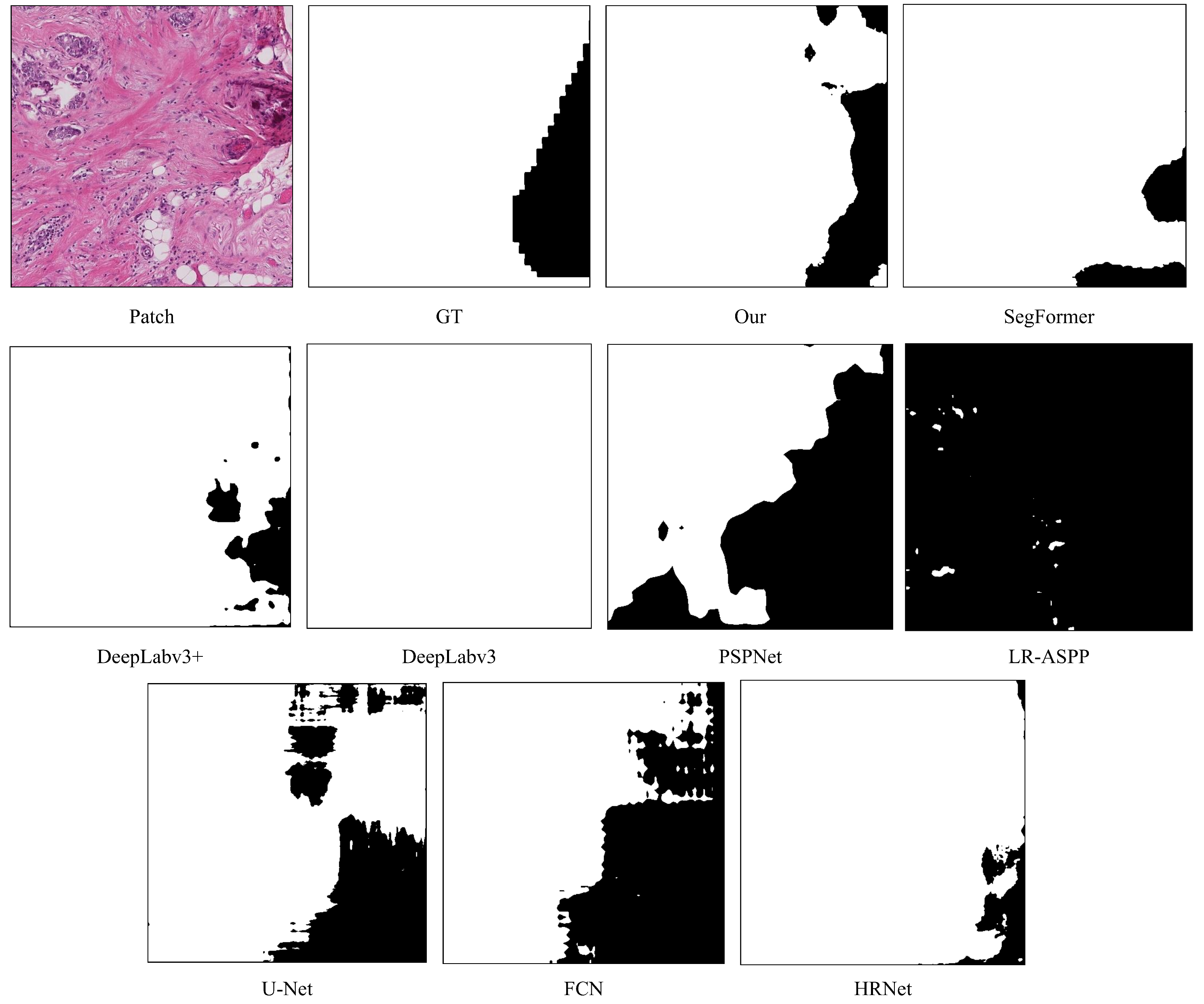 Bioengineering 12 00611 g004