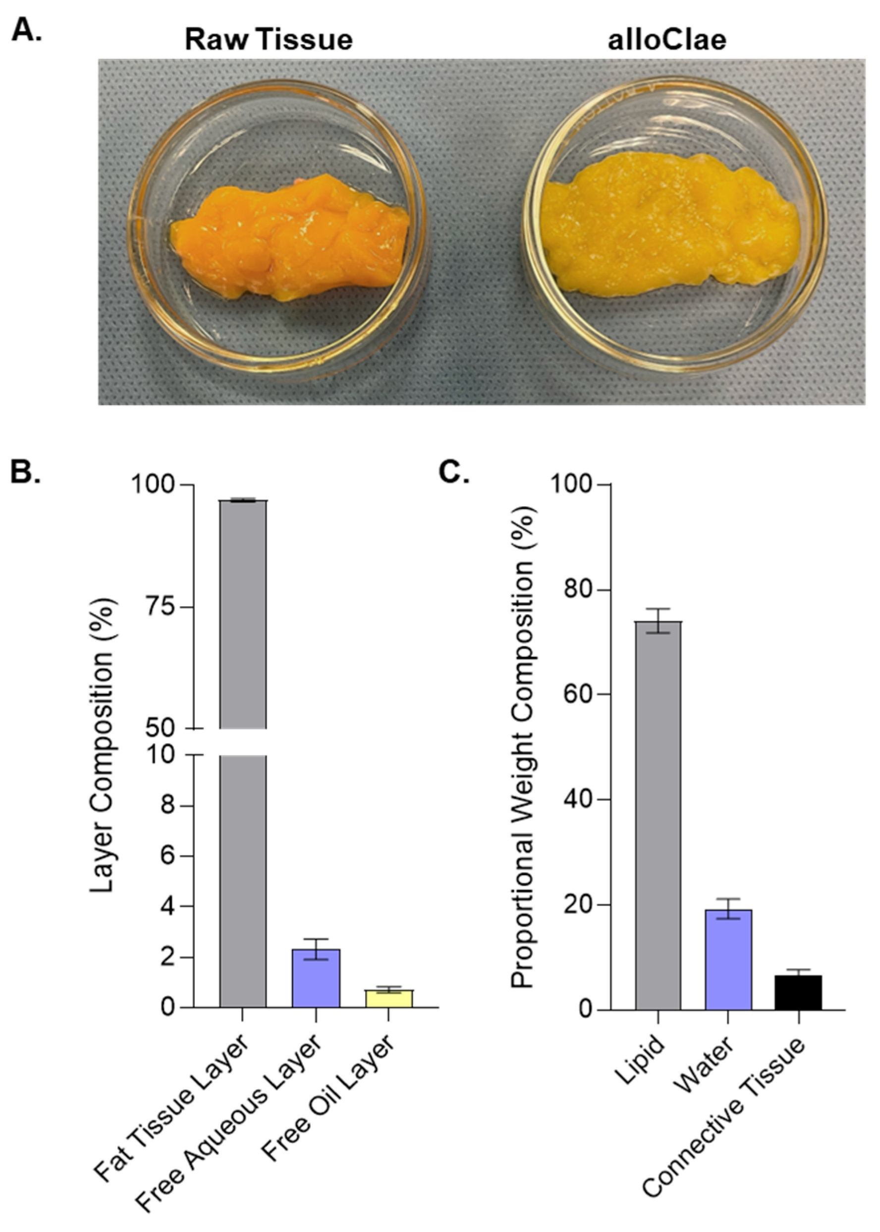 Bioengineering 12 00612 g001
