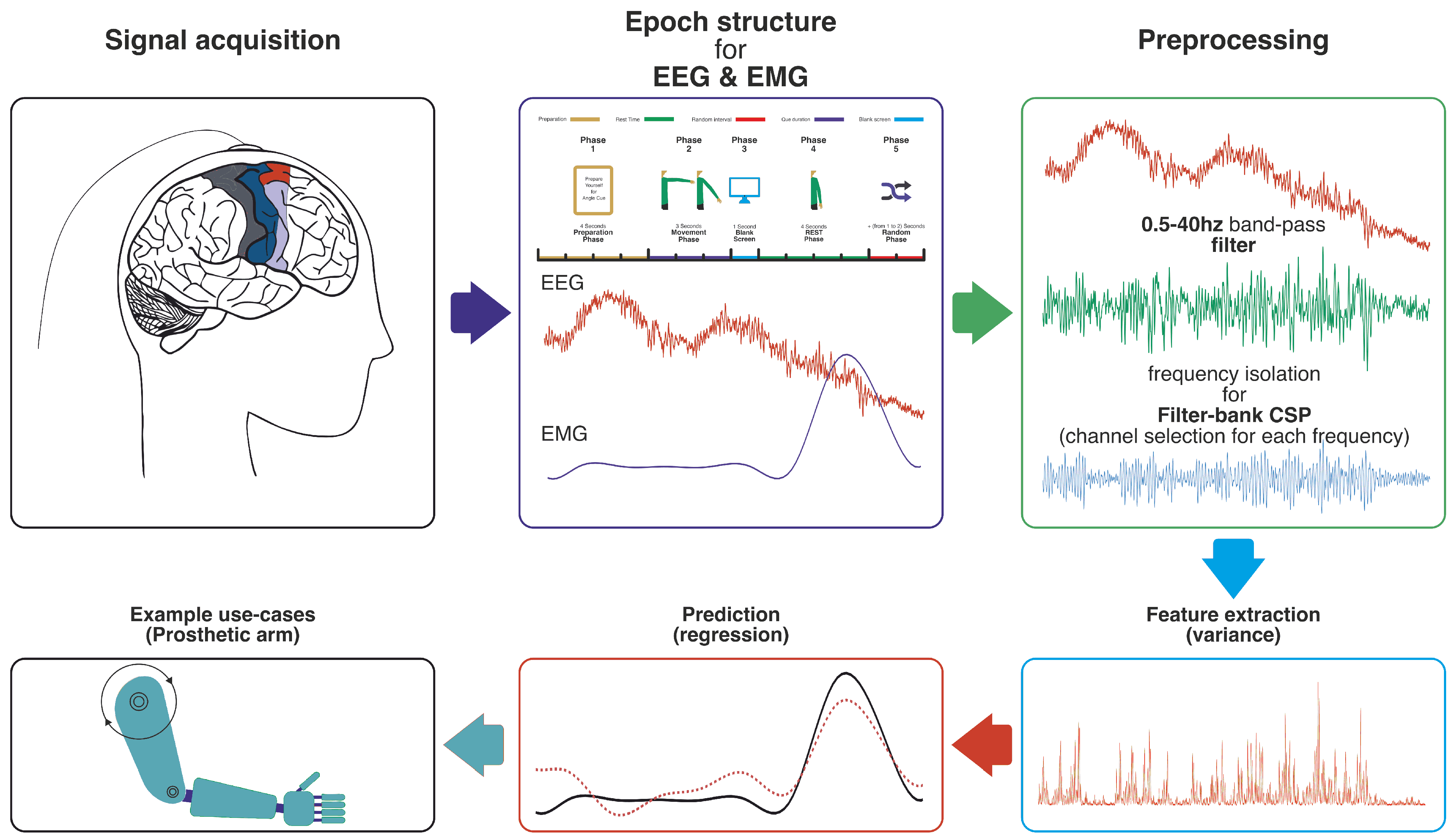 Bioengineering 12 00614 g001