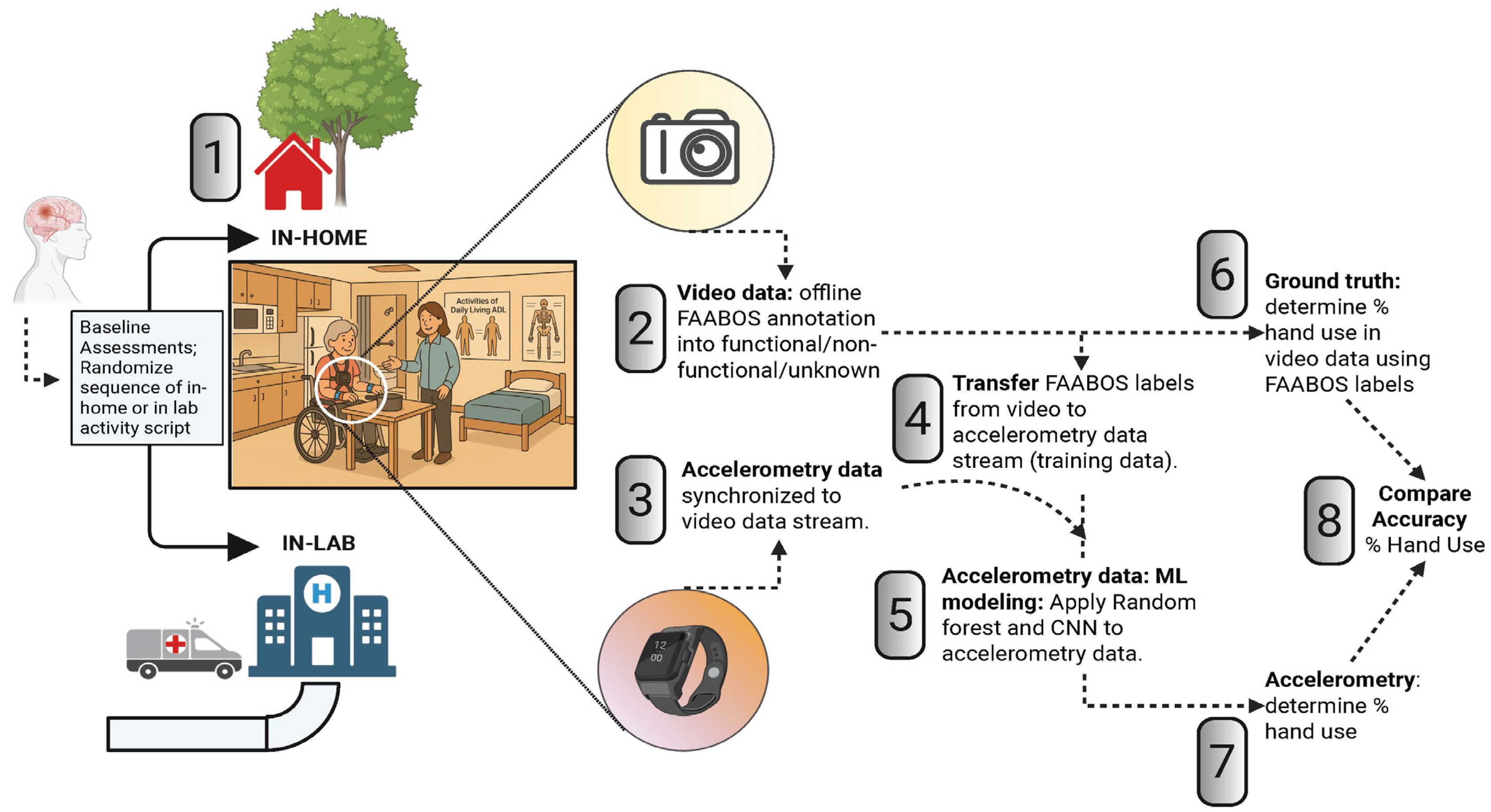 Bioengineering 12 00615 g001