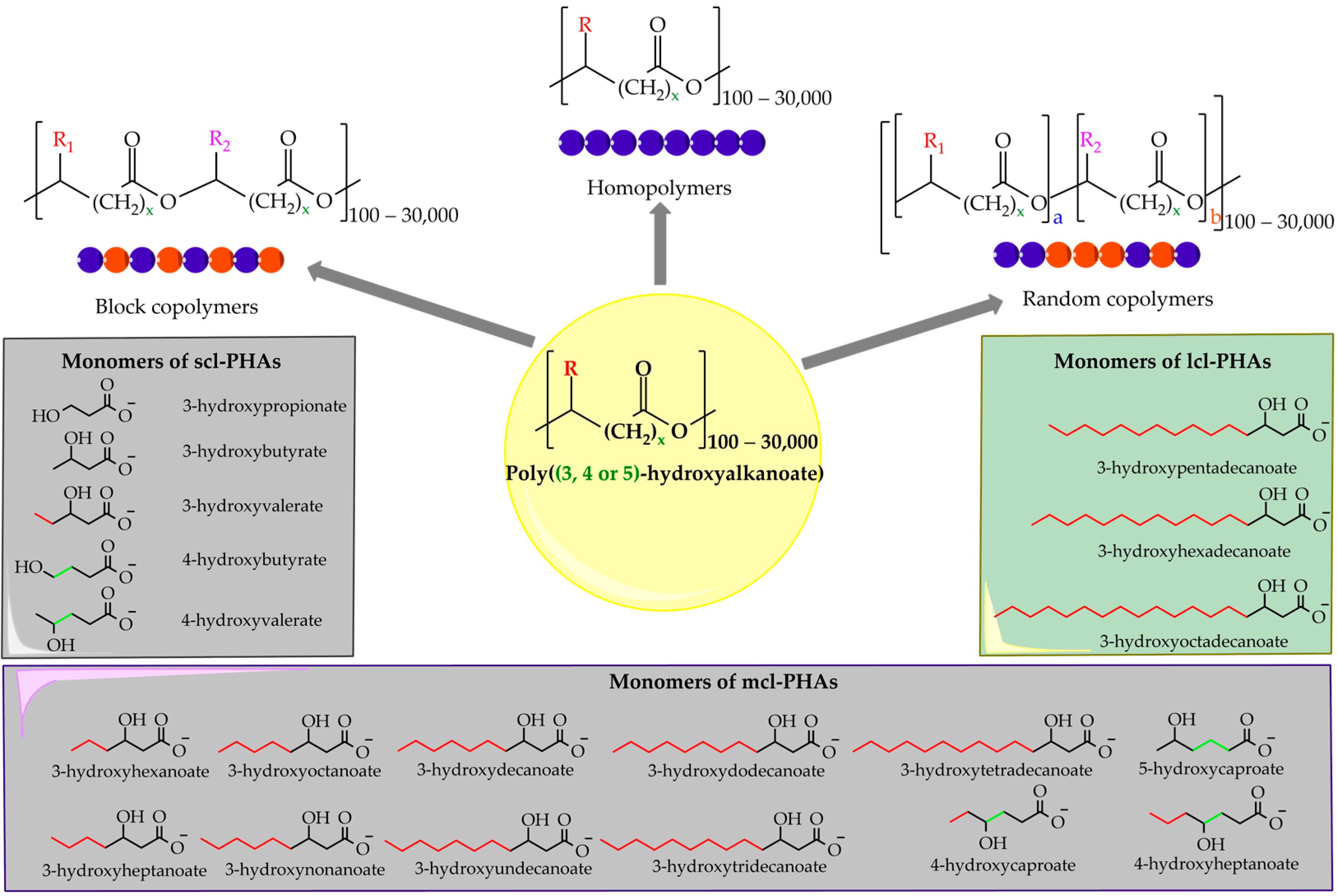 Bioengineering 12 00616 g001