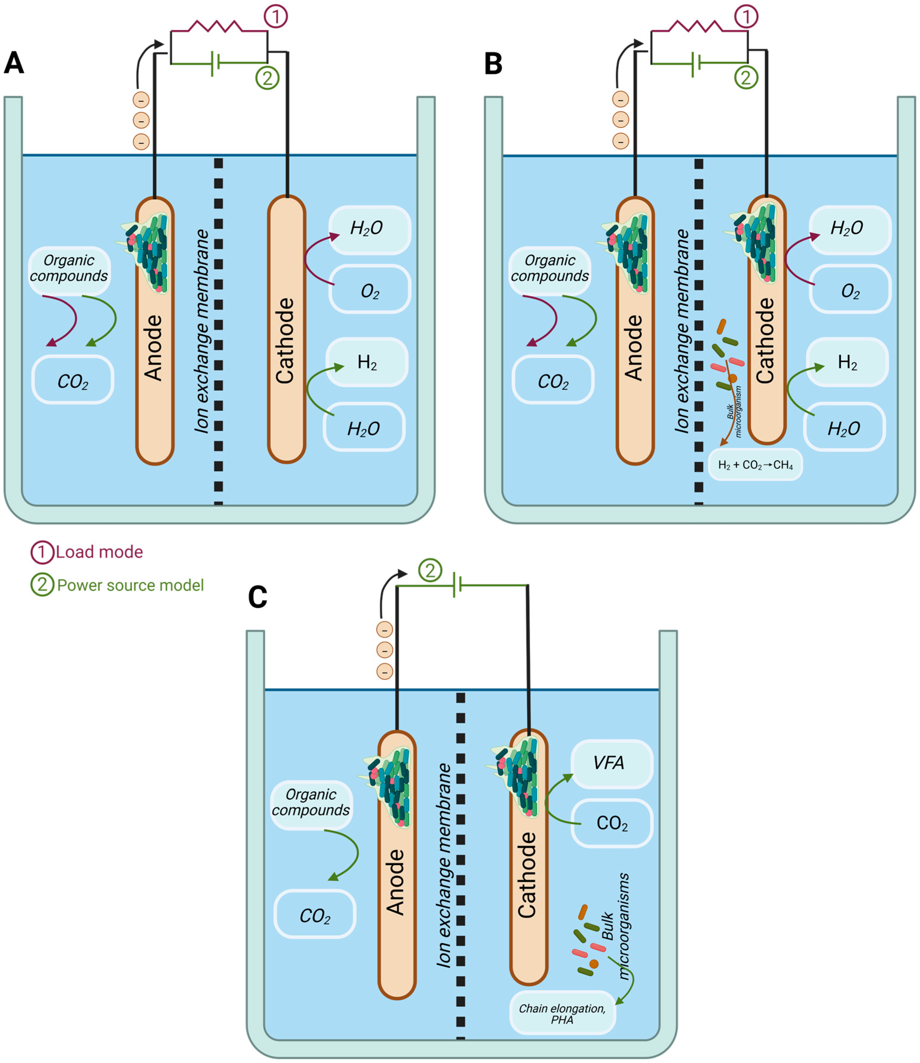 Bioengineering 12 00616 g002