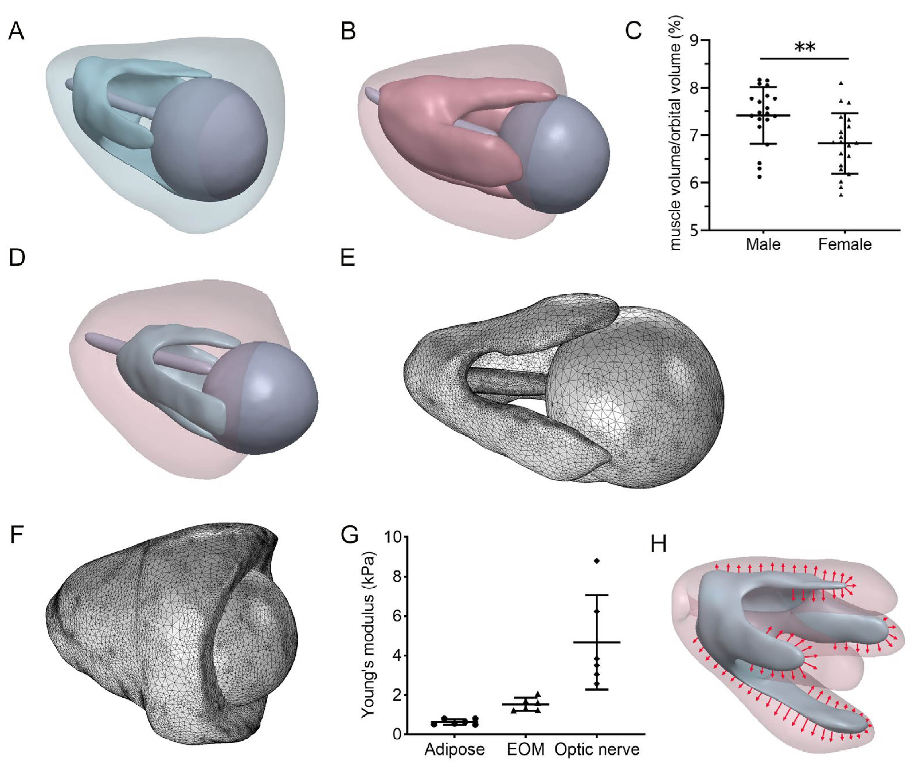 Bioengineering 12 00618 g002