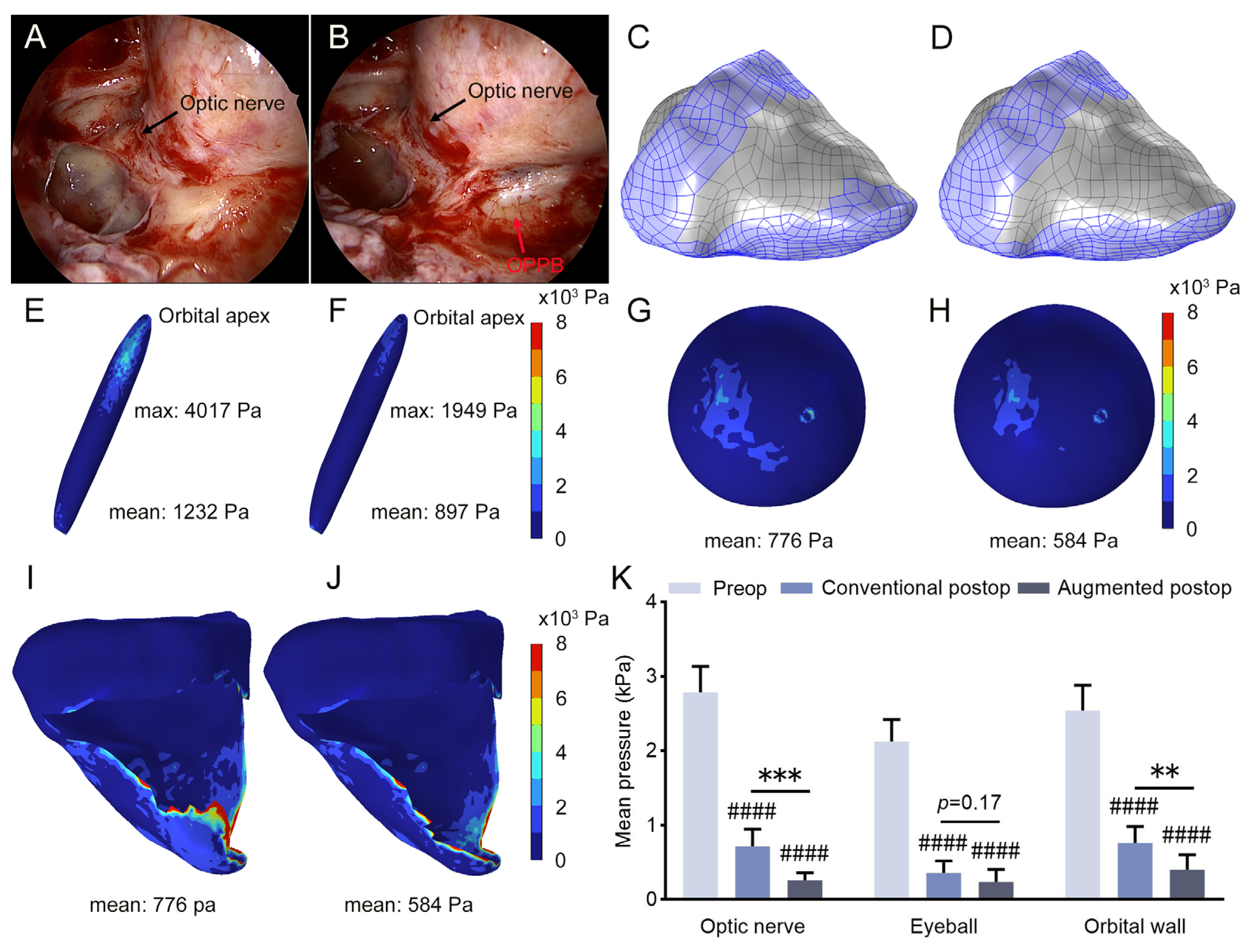 Bioengineering 12 00618 g004