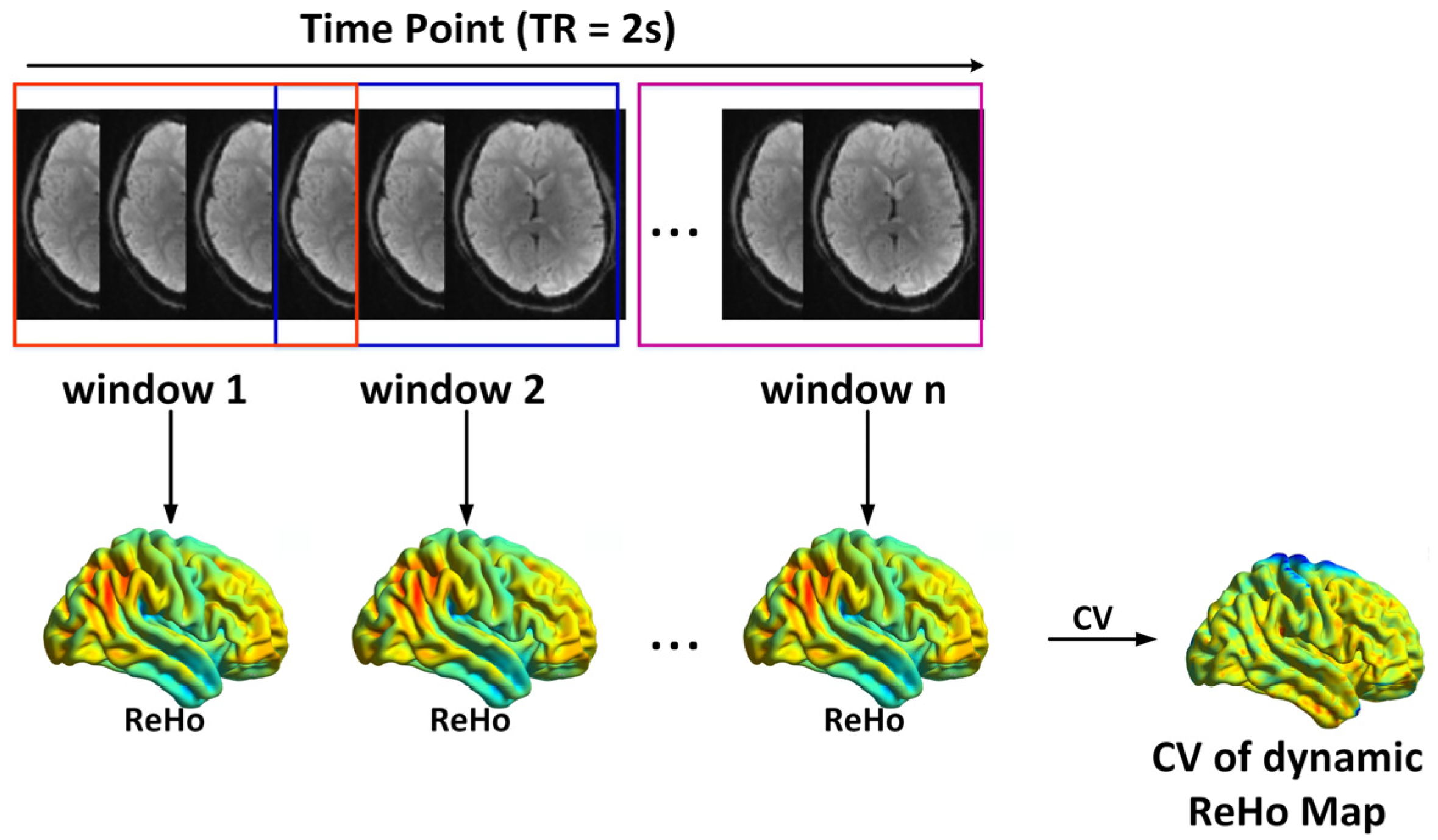 Bioengineering 12 00619 g001