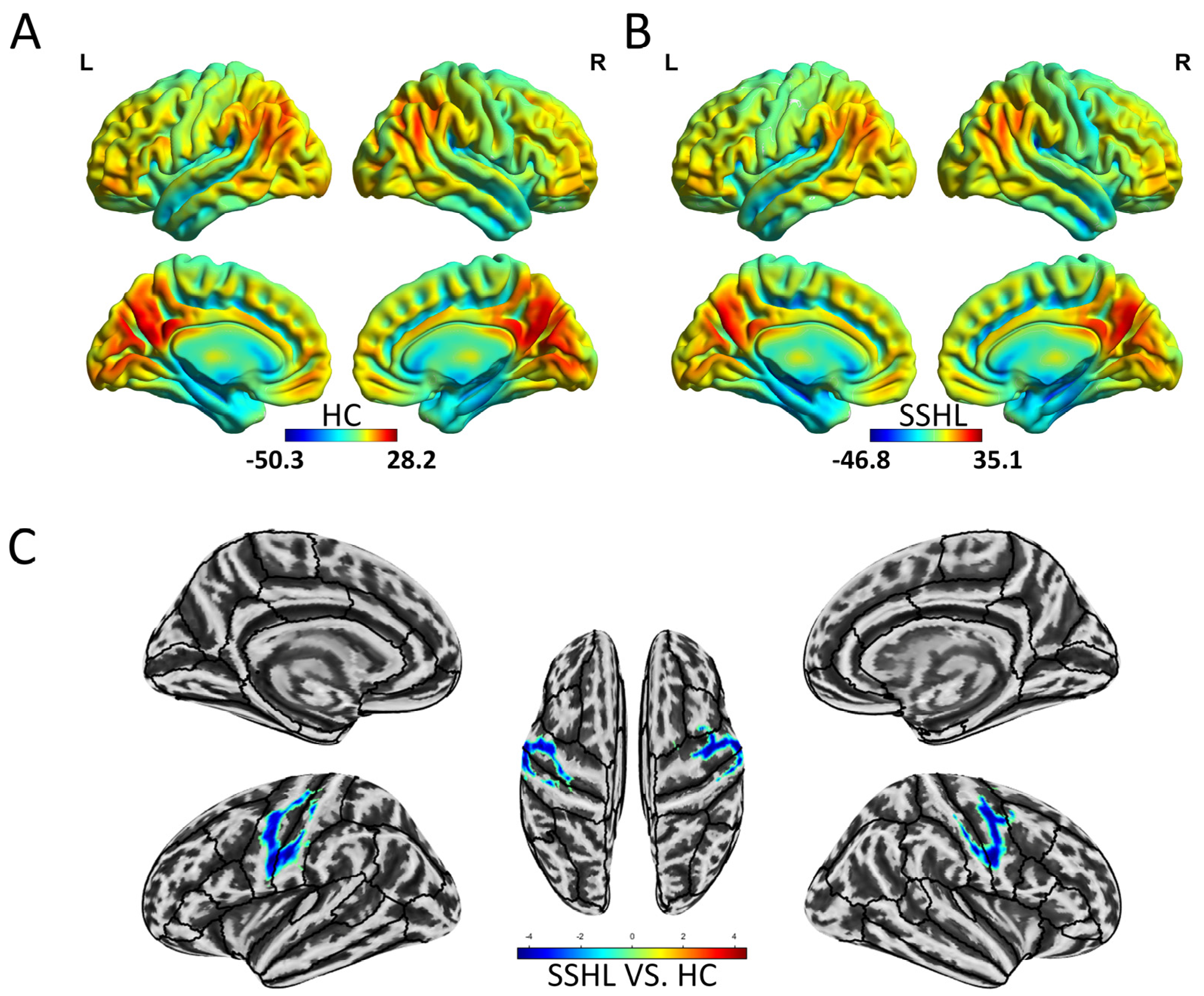 Bioengineering 12 00619 g002