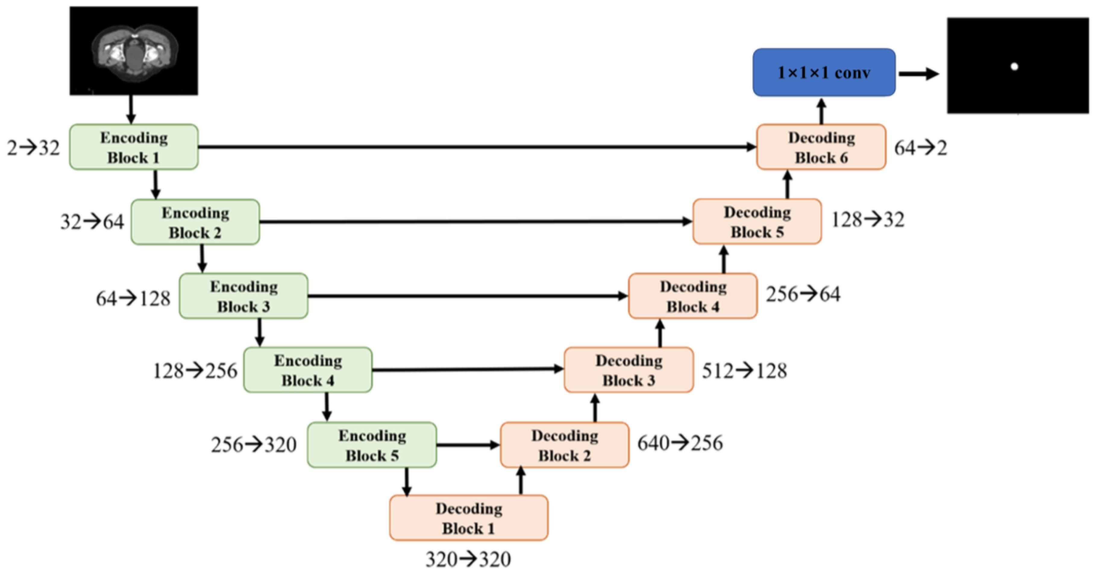 Bioengineering 12 00620 g001