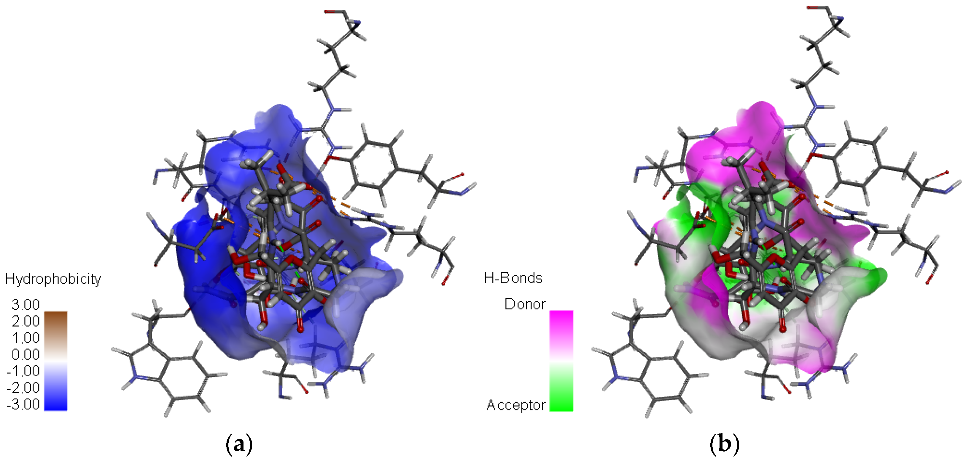 Bioengineering 12 00622 g005