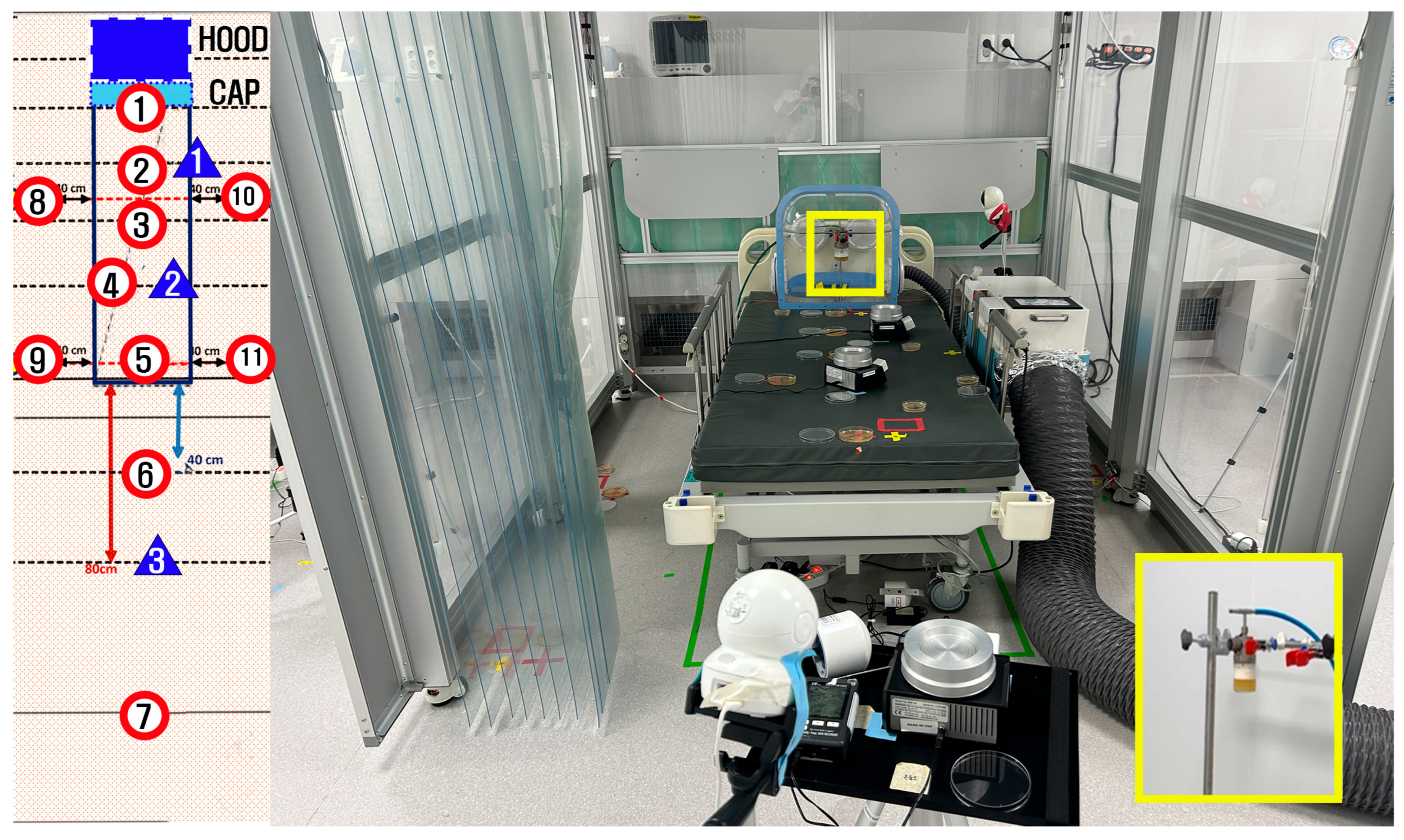 Bioengineering 12 00624 g005