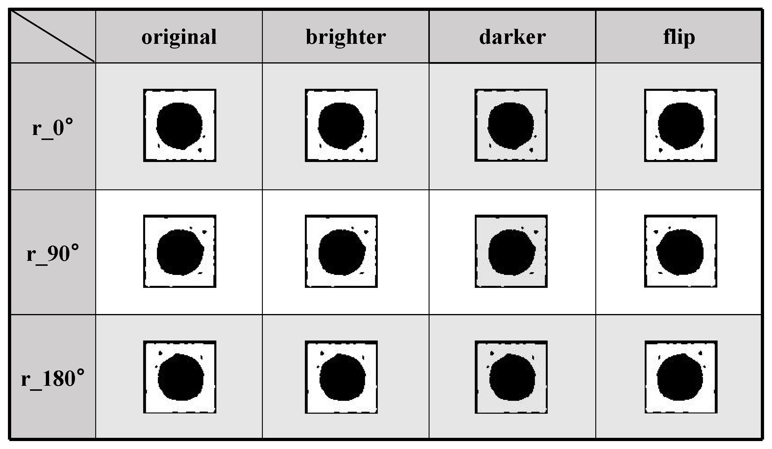 Bioengineering 12 00625 g003