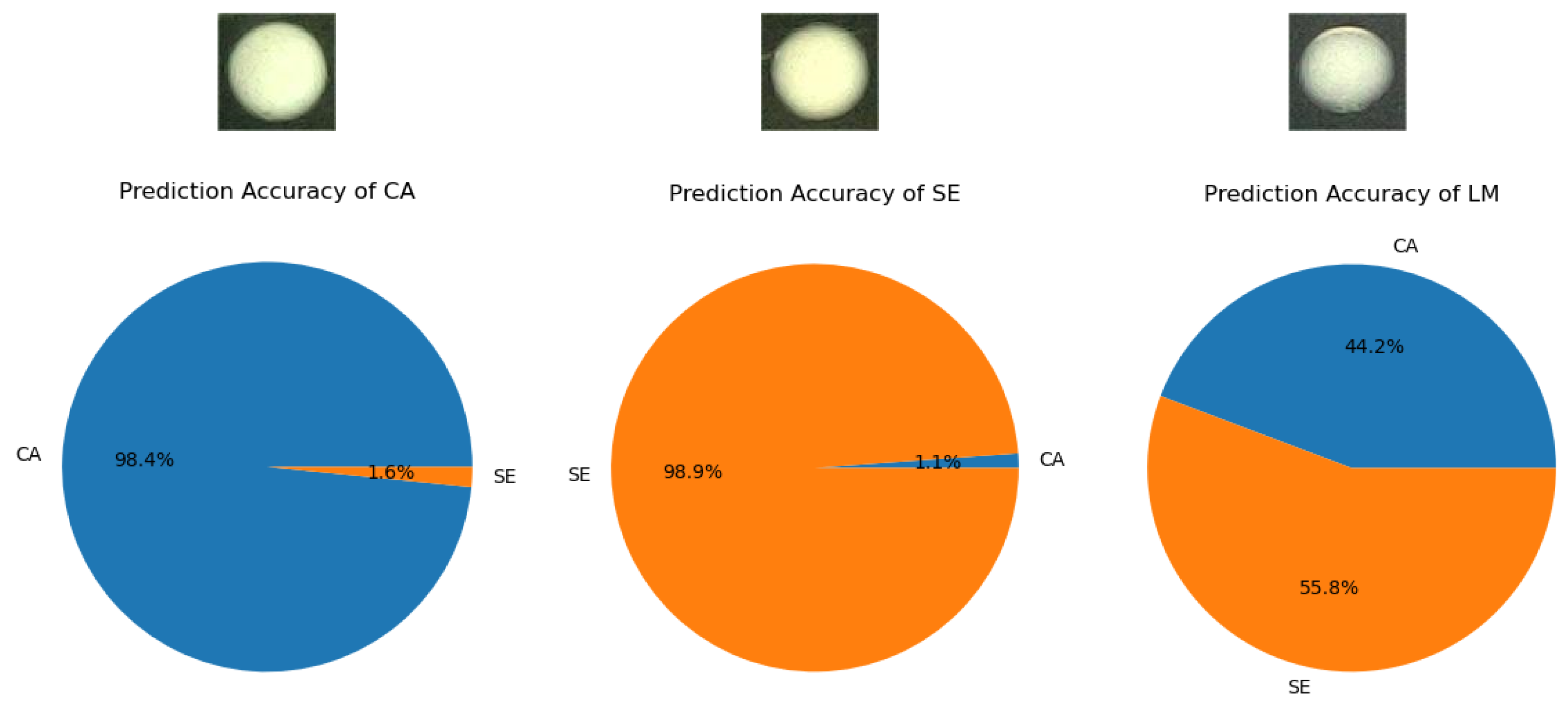 Bioengineering 12 00625 g012