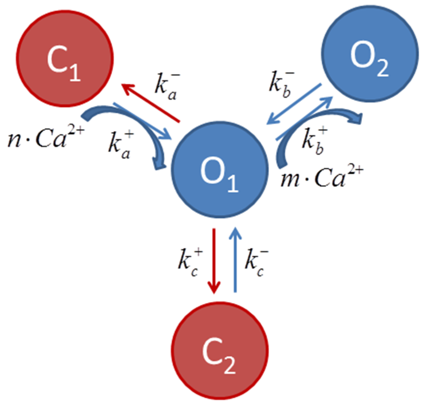 Bioengineering 12 00627 g001