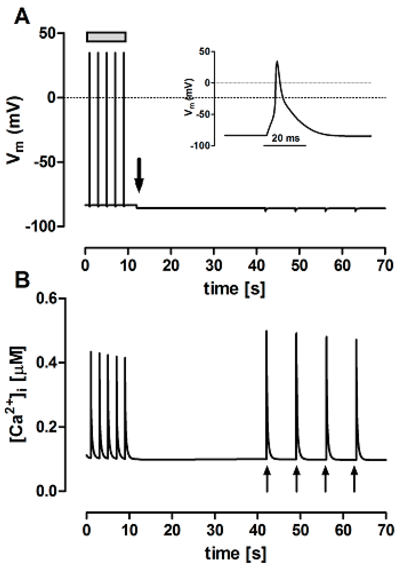 Bioengineering 12 00627 g004