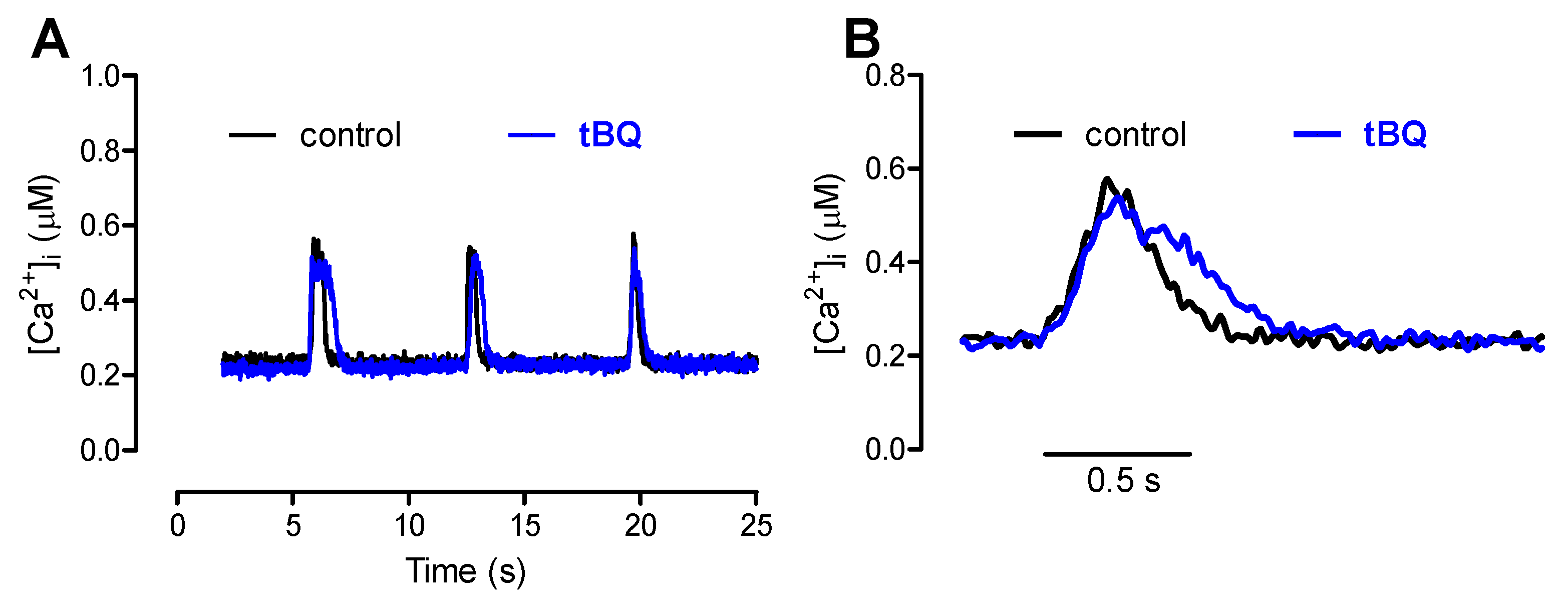 Bioengineering 12 00627 g009