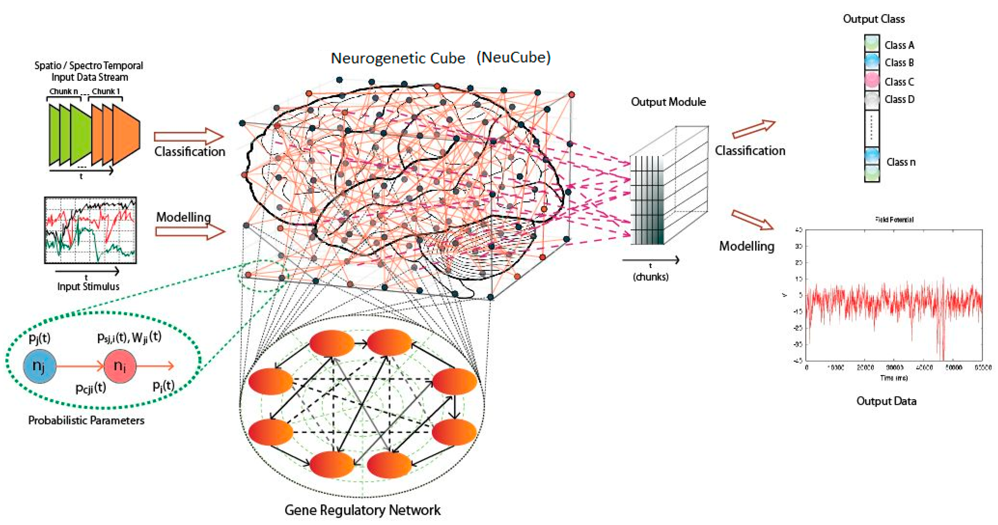 Bioengineering 12 00628 g001